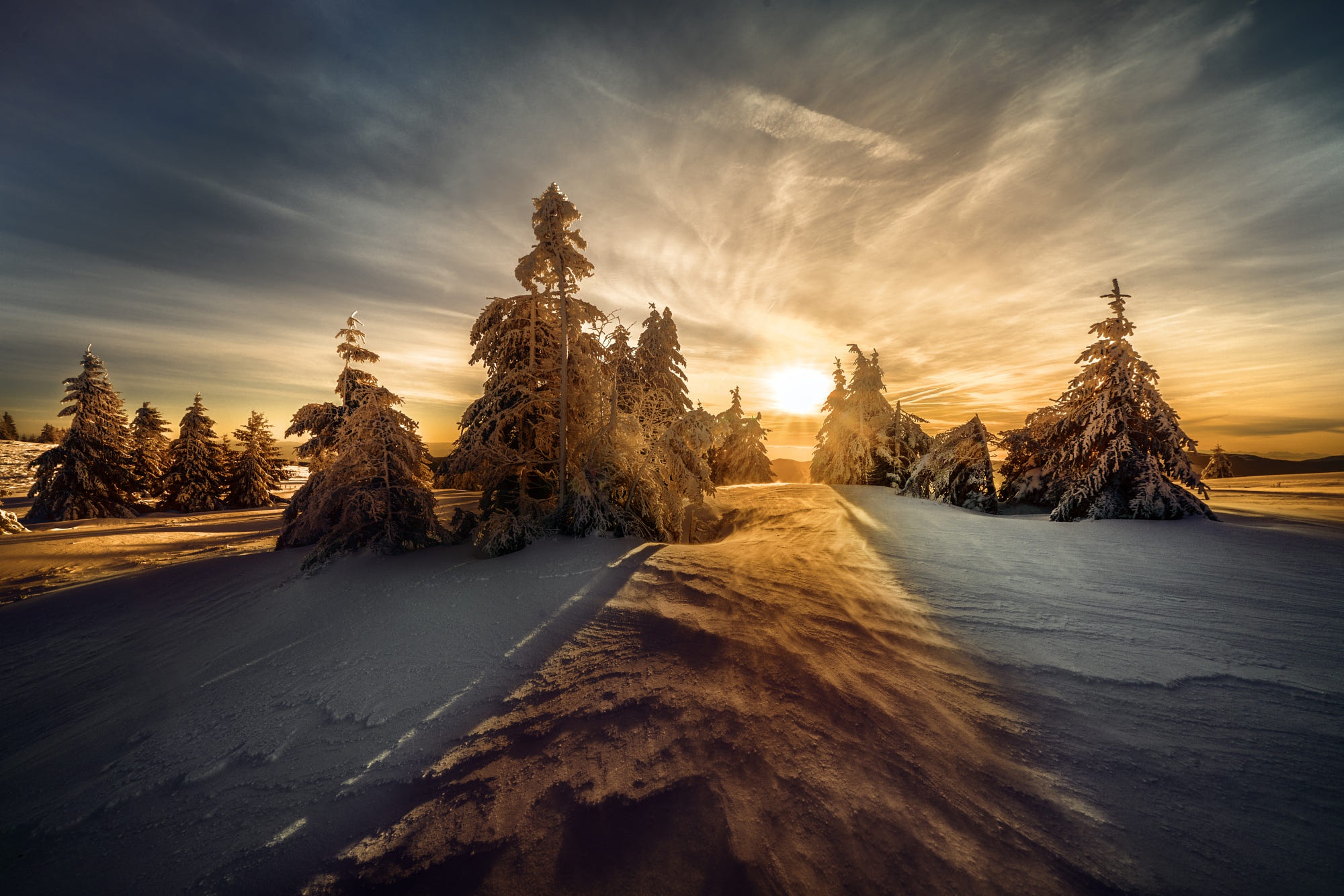 Скачать картинку Зима, Природа, Солнце, Снег, Ель, Земля/природа в телефон бесплатно.