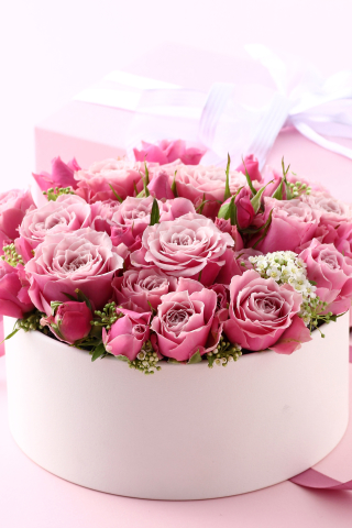 Handy-Wallpaper Feiertage, Rosa, Valentinstag, Rose, Ferien, Feiertag, Pinke Blume kostenlos herunterladen.