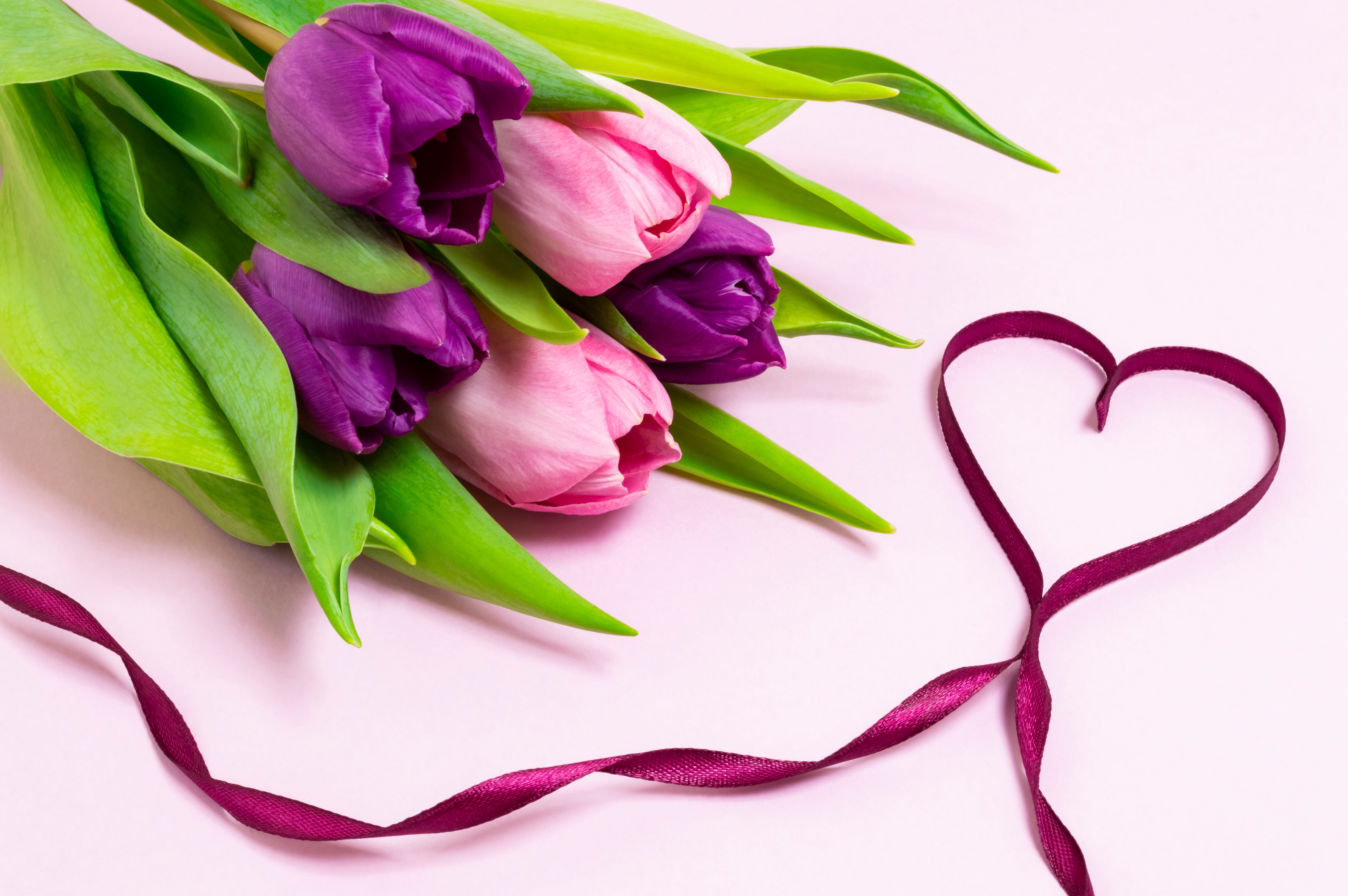 Free download wallpaper Flowers, Love, Earth, Heart, Tulip on your PC desktop