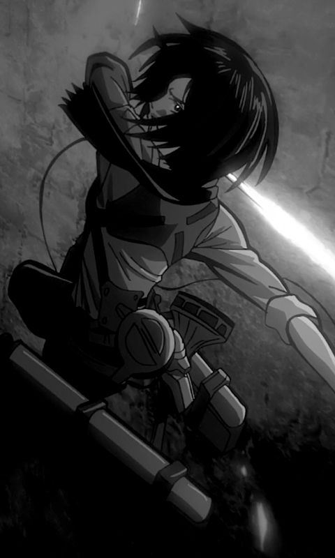 Handy-Wallpaper Schwarz Weiß, Schwarz Weiss, Animes, Mikasa Ackermann, Shingeki Kein Kyojin, Attack On Titan kostenlos herunterladen.
