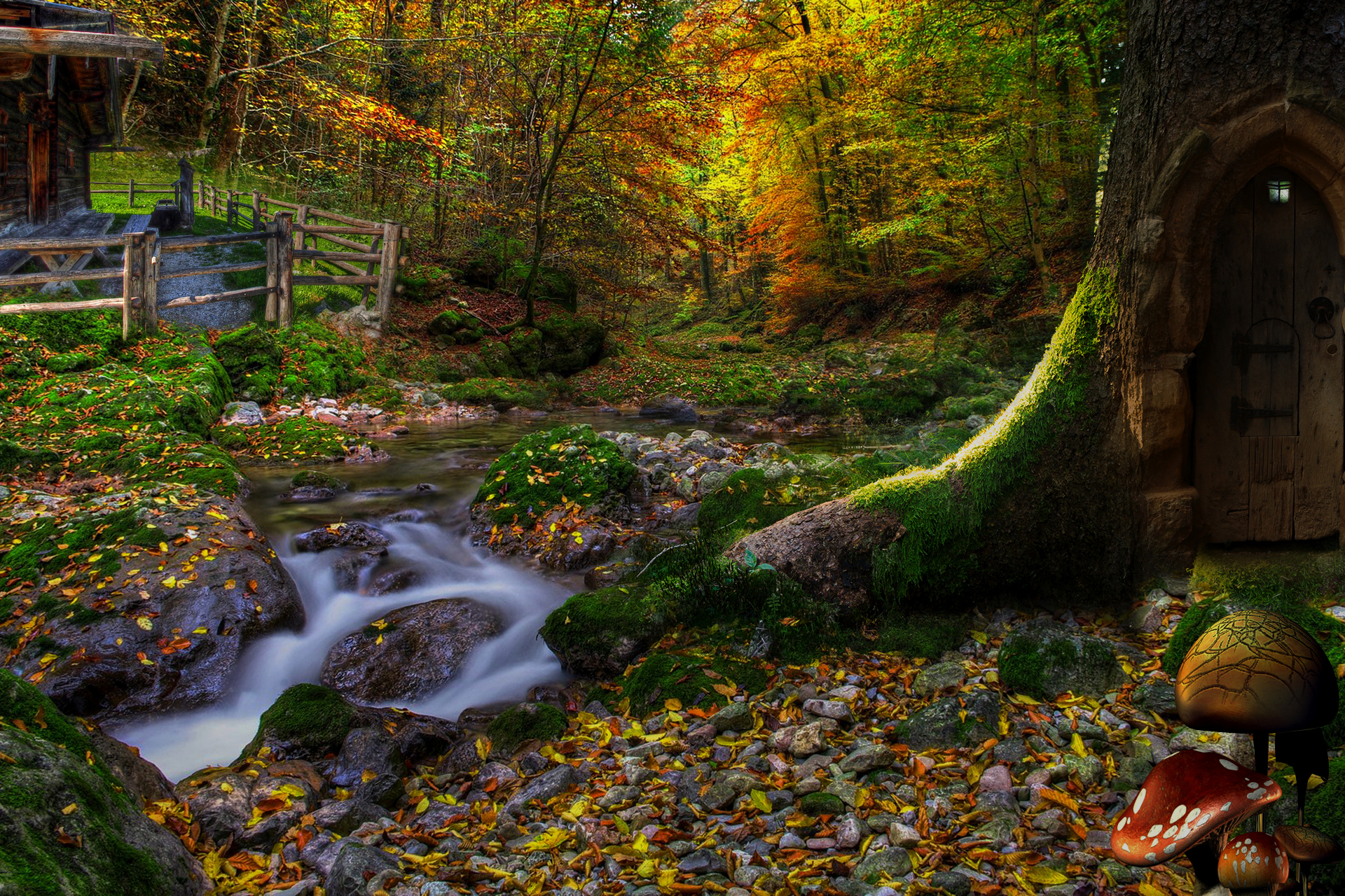 Скачать картинку Фэнтези, Осень, Лес, Дерево, Гриб, Ручей в телефон бесплатно.
