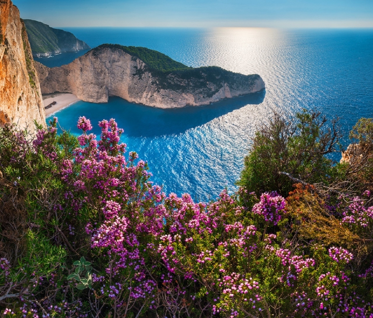 Download mobile wallpaper Horizon, Flower, Coast, Ocean, Earth, Greece, Pink Flower for free.