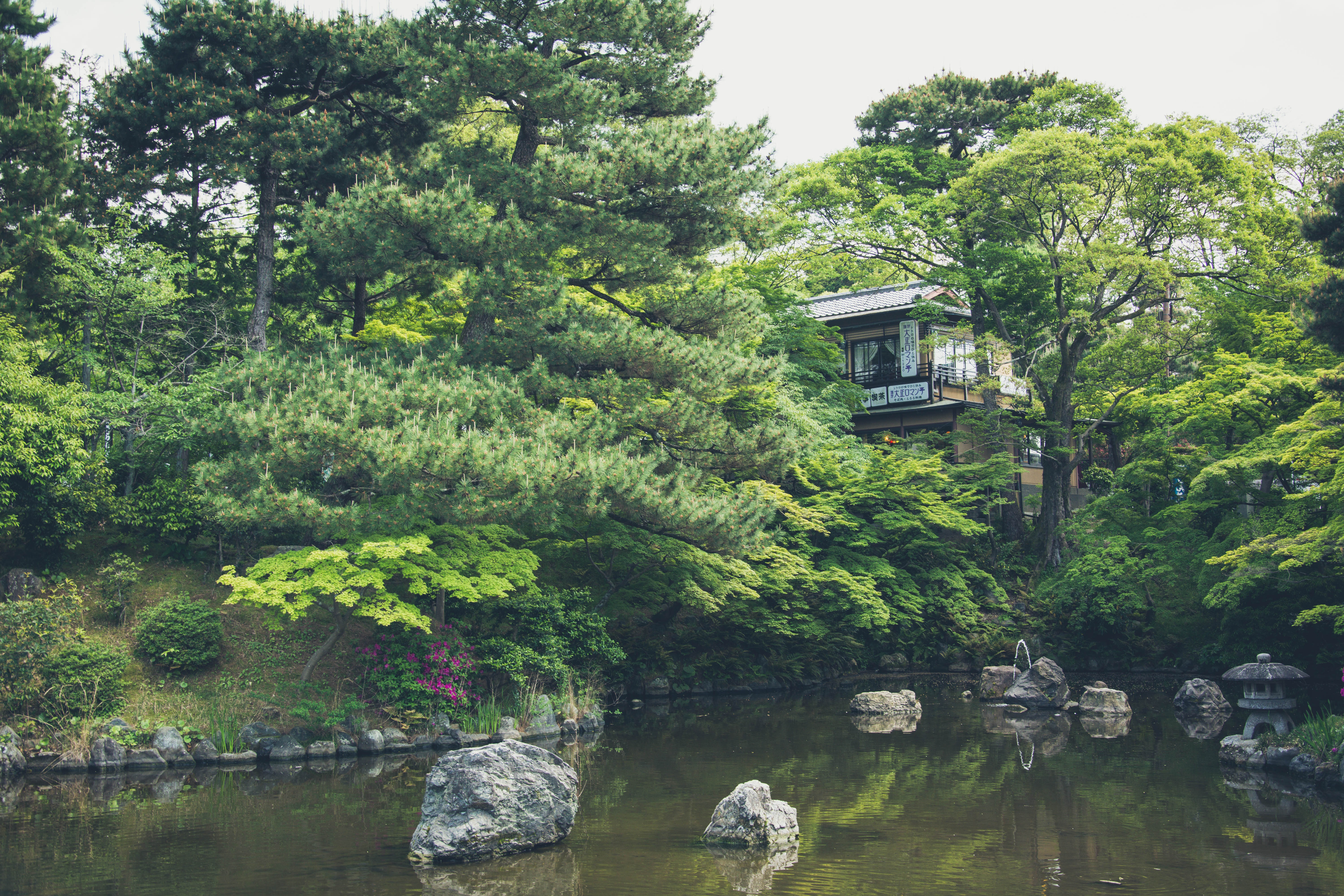 PCデスクトップに自然, 湖, 構造, 池, 日本画像を無料でダウンロード