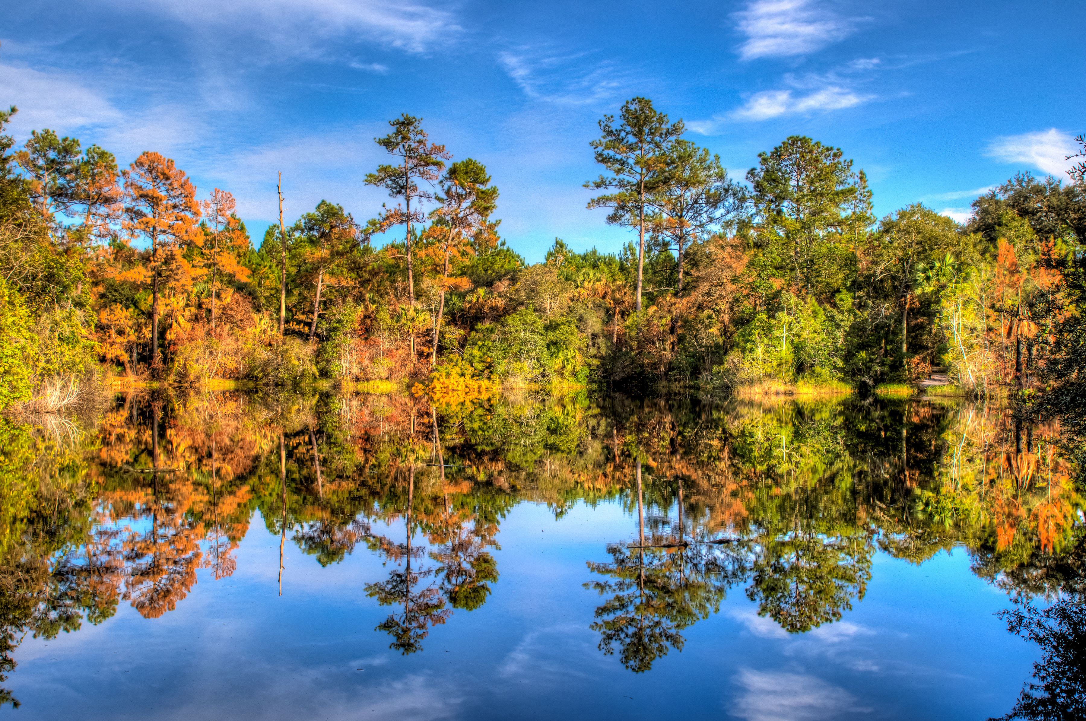 Download mobile wallpaper Reflection, Forest, Lake, Trees, Sky, Nature for free.