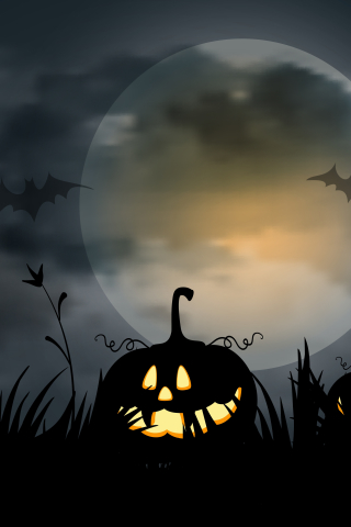 Download mobile wallpaper Halloween, Night, Holiday, Jack O' Lantern for free.
