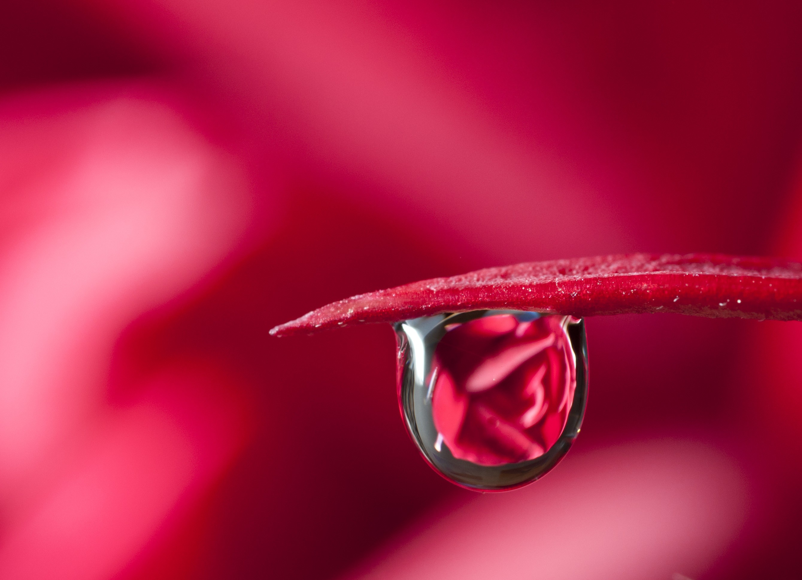 Free download wallpaper Earth, Water Drop on your PC desktop