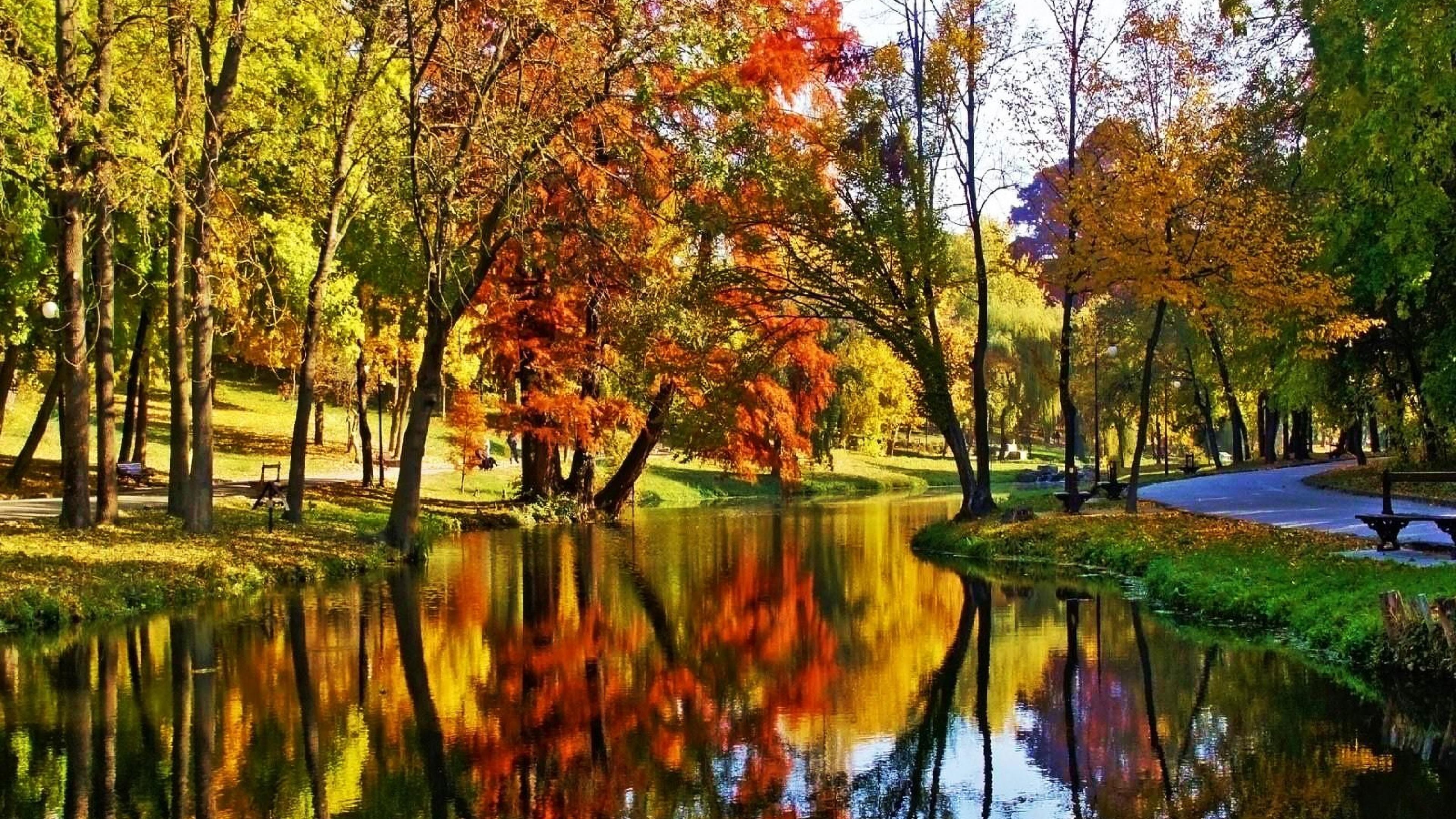 Laden Sie das Herbst, Park, Baum, Fluss, Erde, Fotografie, Betrachtung-Bild kostenlos auf Ihren PC-Desktop herunter