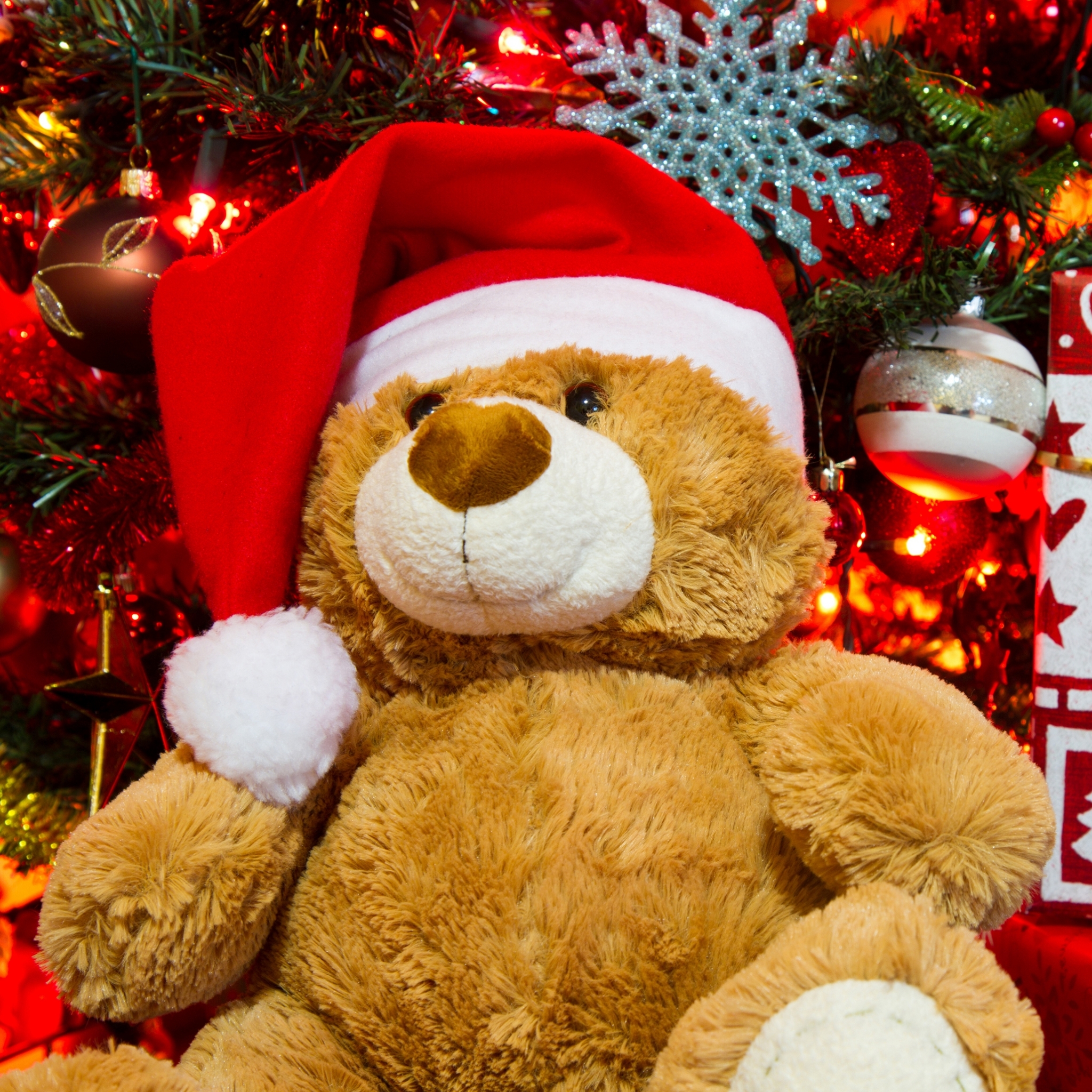 Free download wallpaper Teddy Bear, Christmas, Holiday, Gift, Christmas Ornaments, Santa Hat on your PC desktop