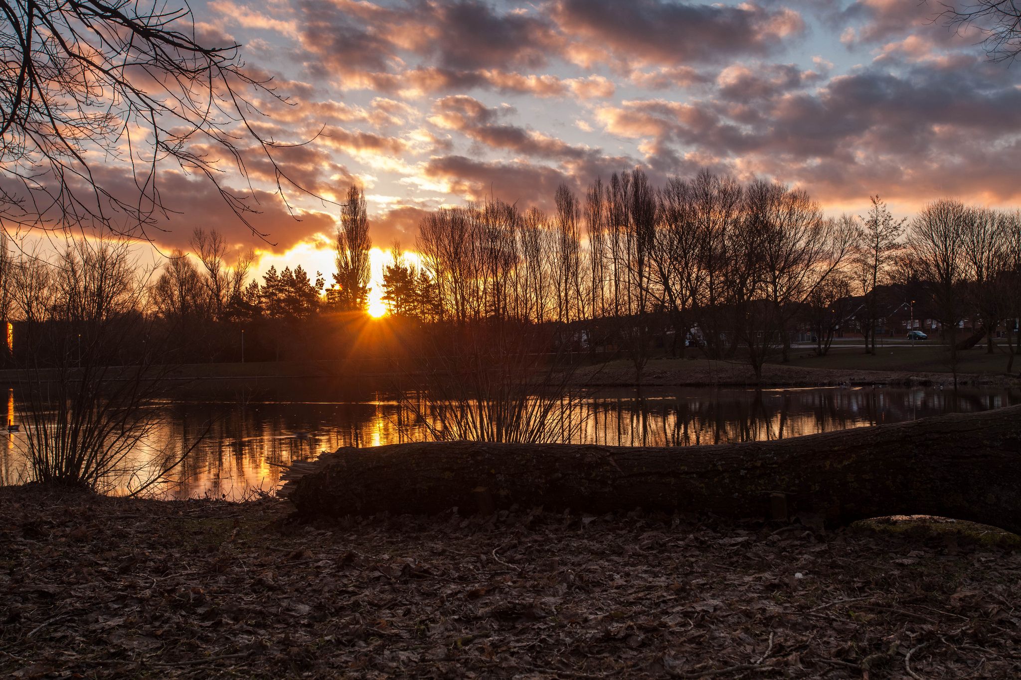 Free download wallpaper Nature, Sunset, Tree, Earth, Cloud, River, Photography on your PC desktop