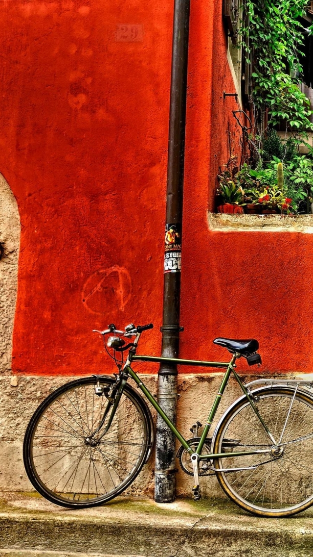 1197975 Protetores de tela e papéis de parede Empurre A Bicicleta em seu telefone. Baixe  fotos gratuitamente