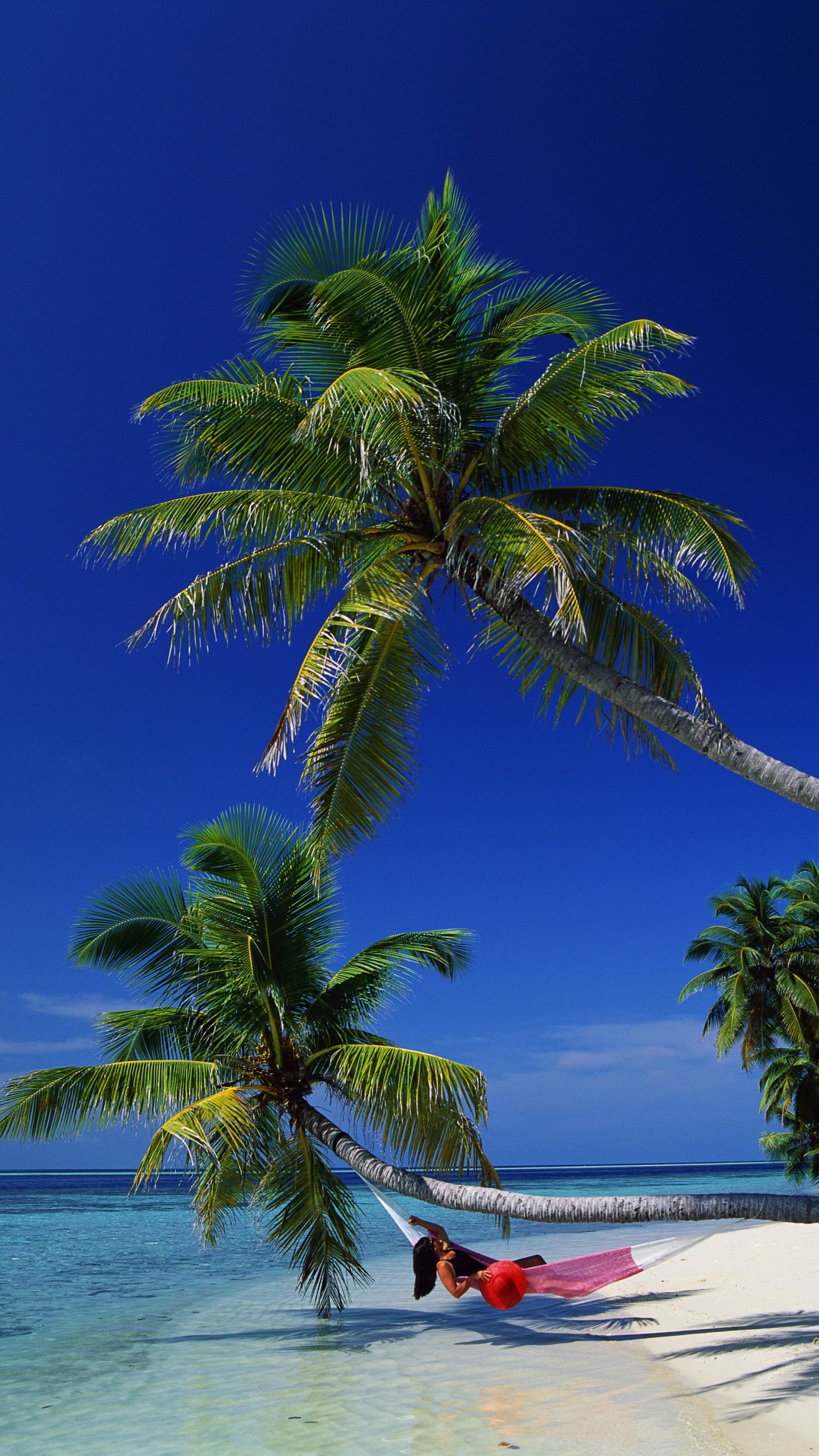 1240248 Salvapantallas y fondos de pantalla Playa en tu teléfono. Descarga imágenes de  gratis