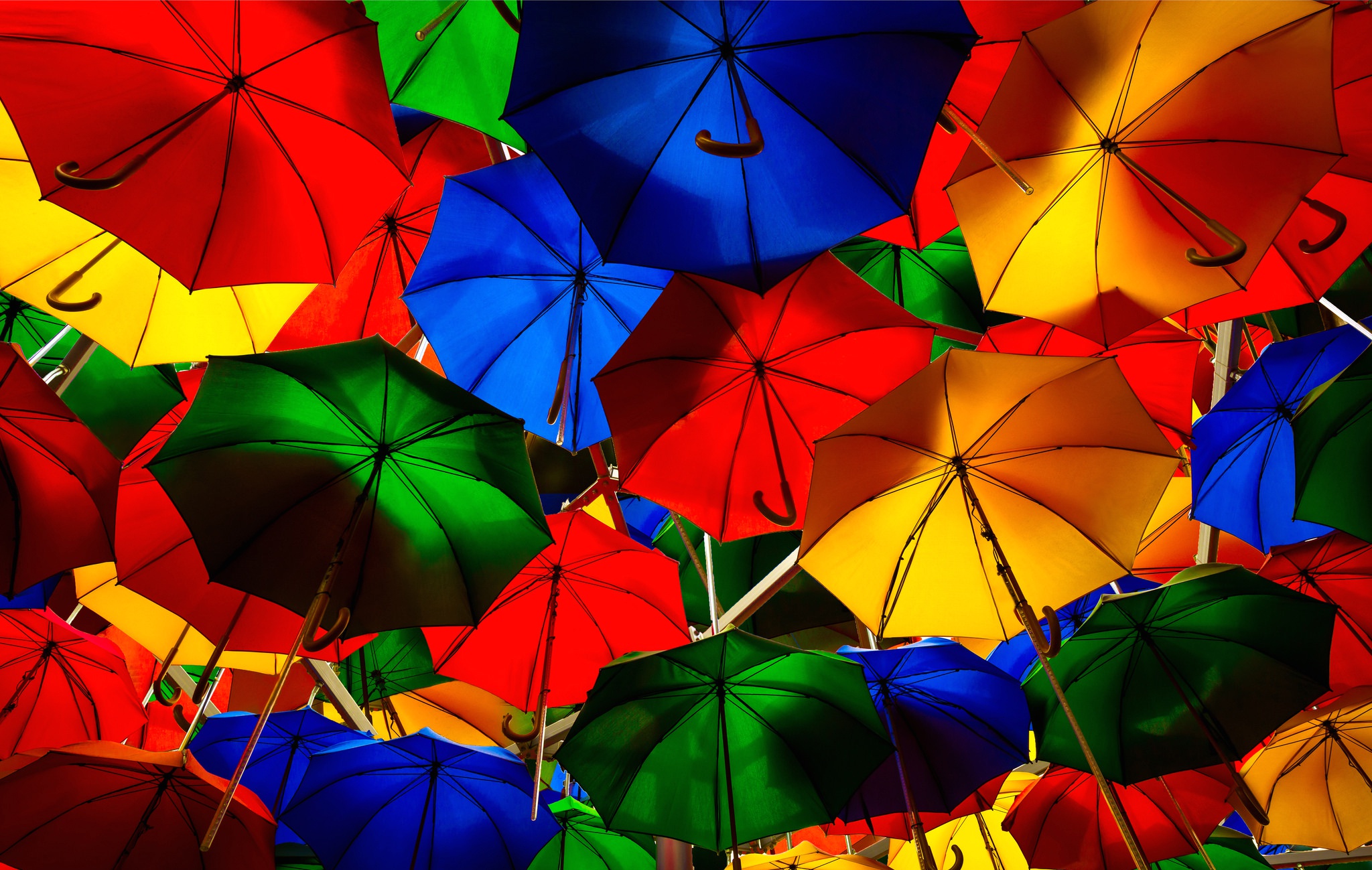 PCデスクトップに色, カラフル, 傘, 写真撮影画像を無料でダウンロード