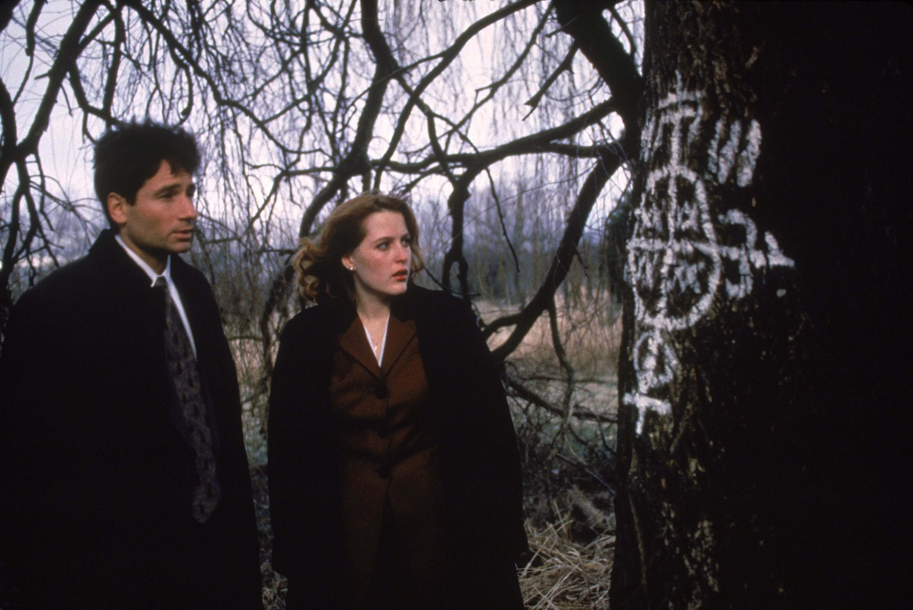 Download mobile wallpaper The X Files, Tv Show for free.