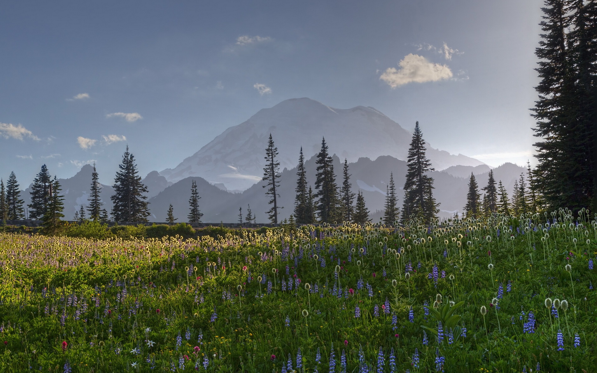 Handy-Wallpaper Landschaft, Erde/natur kostenlos herunterladen.