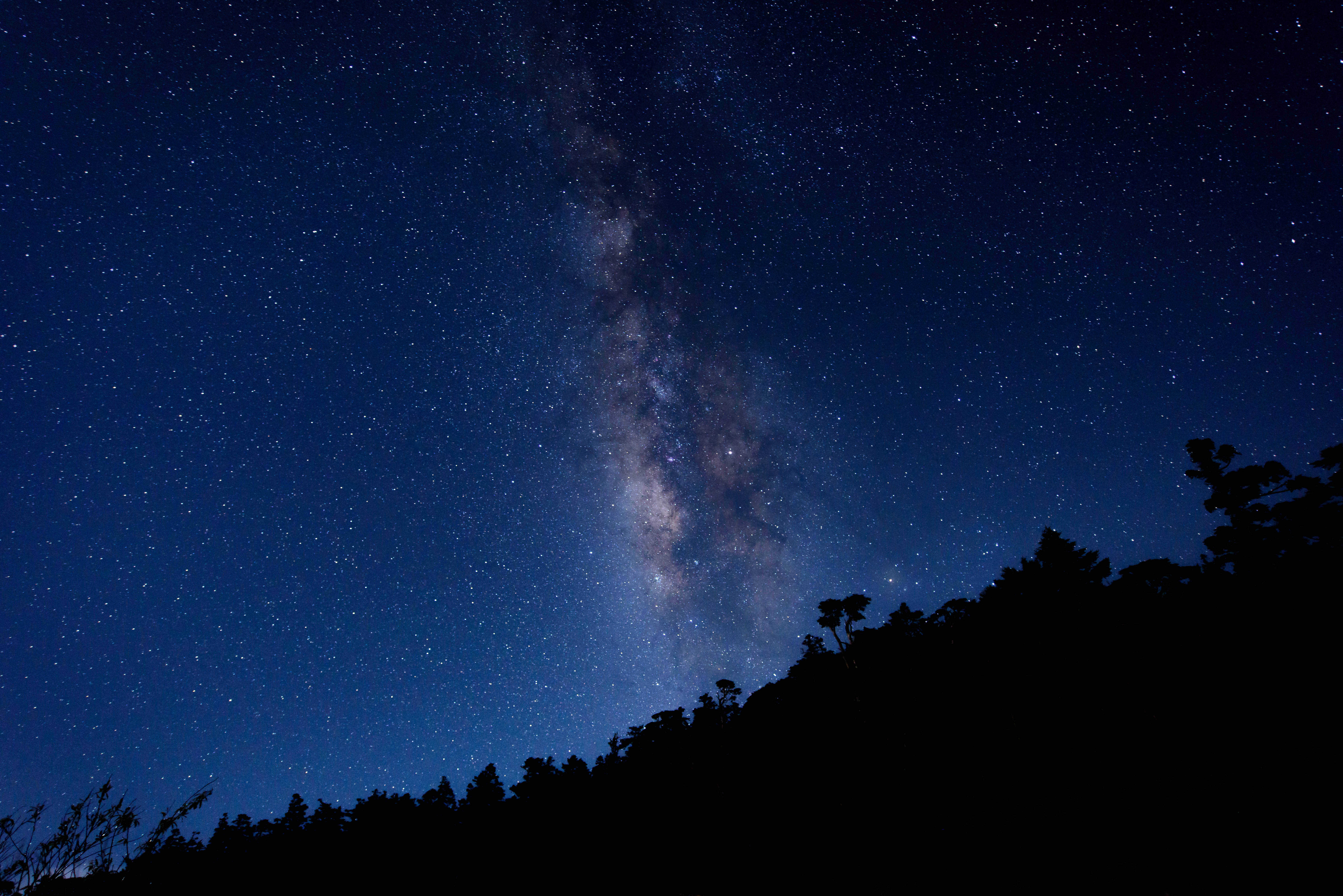 Descarga gratuita de fondo de pantalla para móvil de Naturaleza, Árboles, Cielo Estrellado, Vía Láctea.