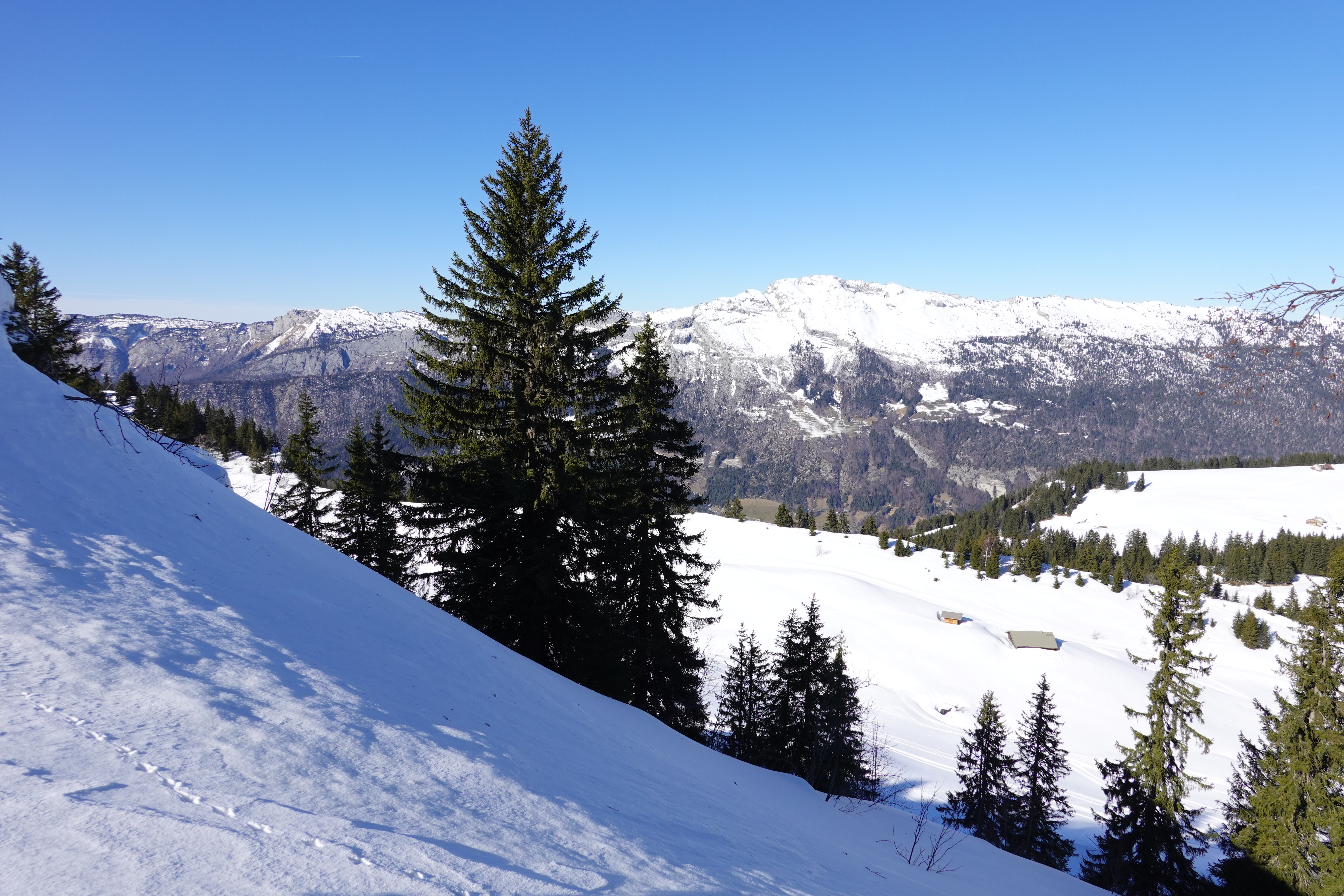 PCデスクトップに冬, 自然, 木, 雪, モミの木, 山脈画像を無料でダウンロード