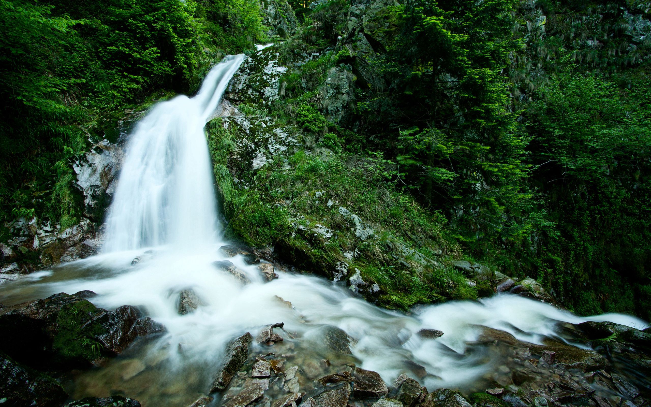 Скачать обои бесплатно Поток, Природа, Скалы, Камни, Лес, Горы, Зелень, Водопад картинка на рабочий стол ПК
