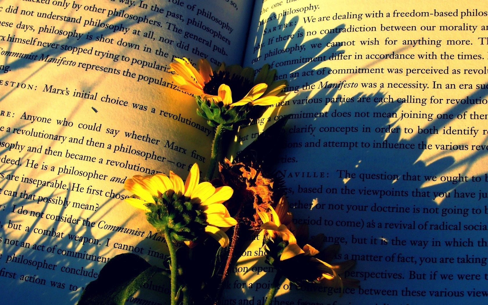 Download mobile wallpaper Miscellaneous, Miscellanea, Shadow, Flowers, Paper, Book for free.