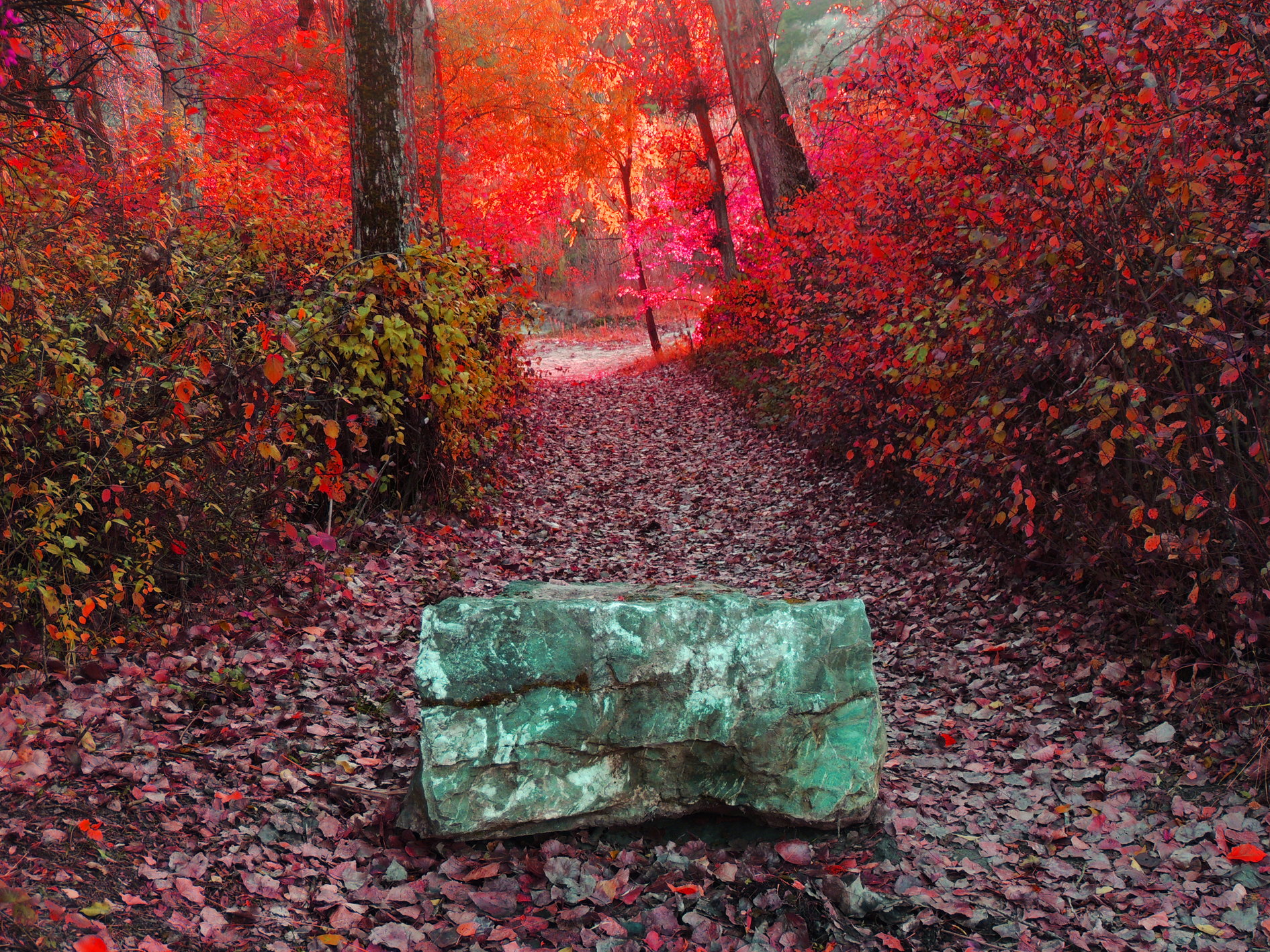 Free download wallpaper Leaf, Fall, Earth, Path on your PC desktop