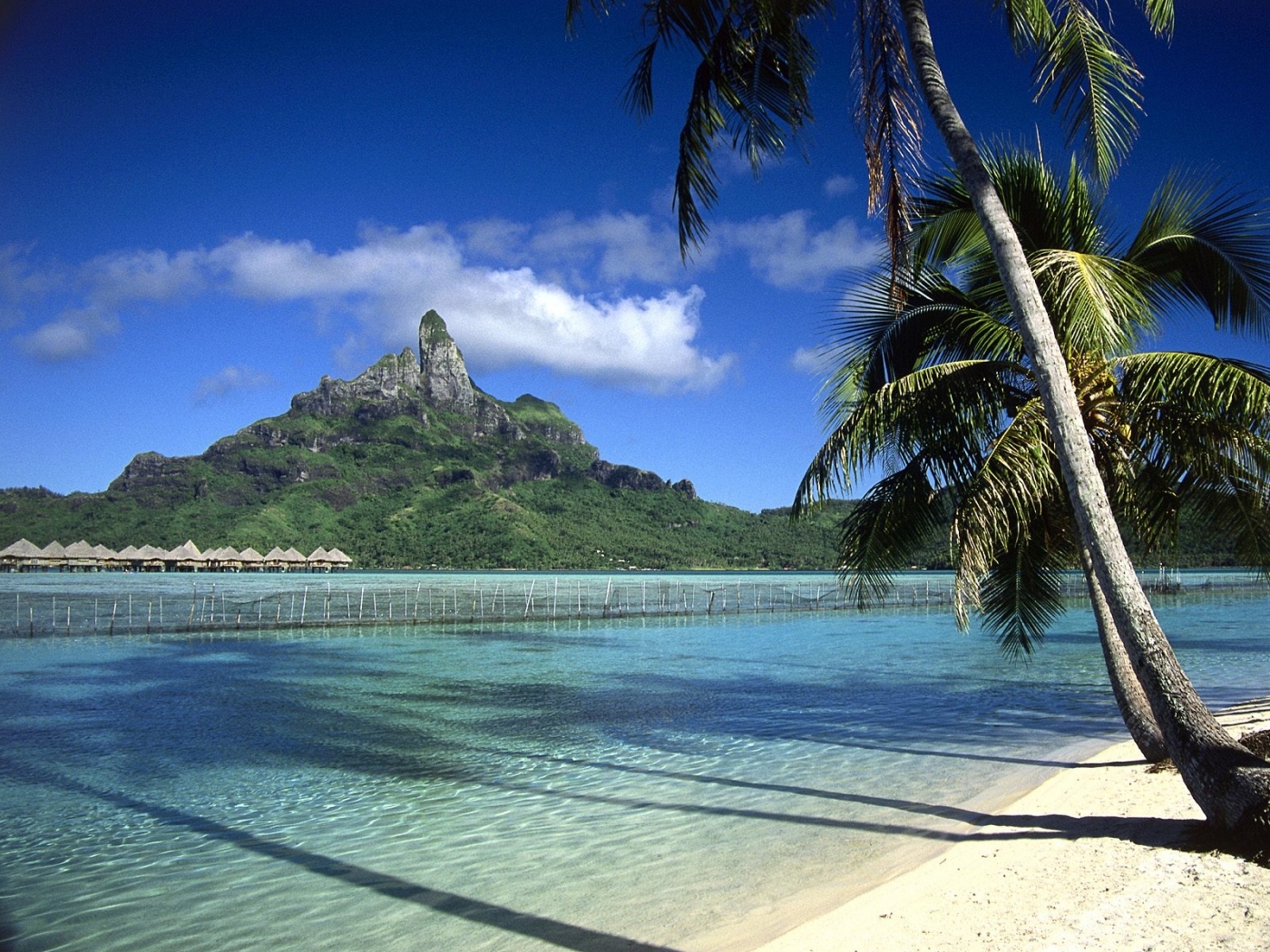 Free download wallpaper Sea, Palms, Landscape, Beach on your PC desktop