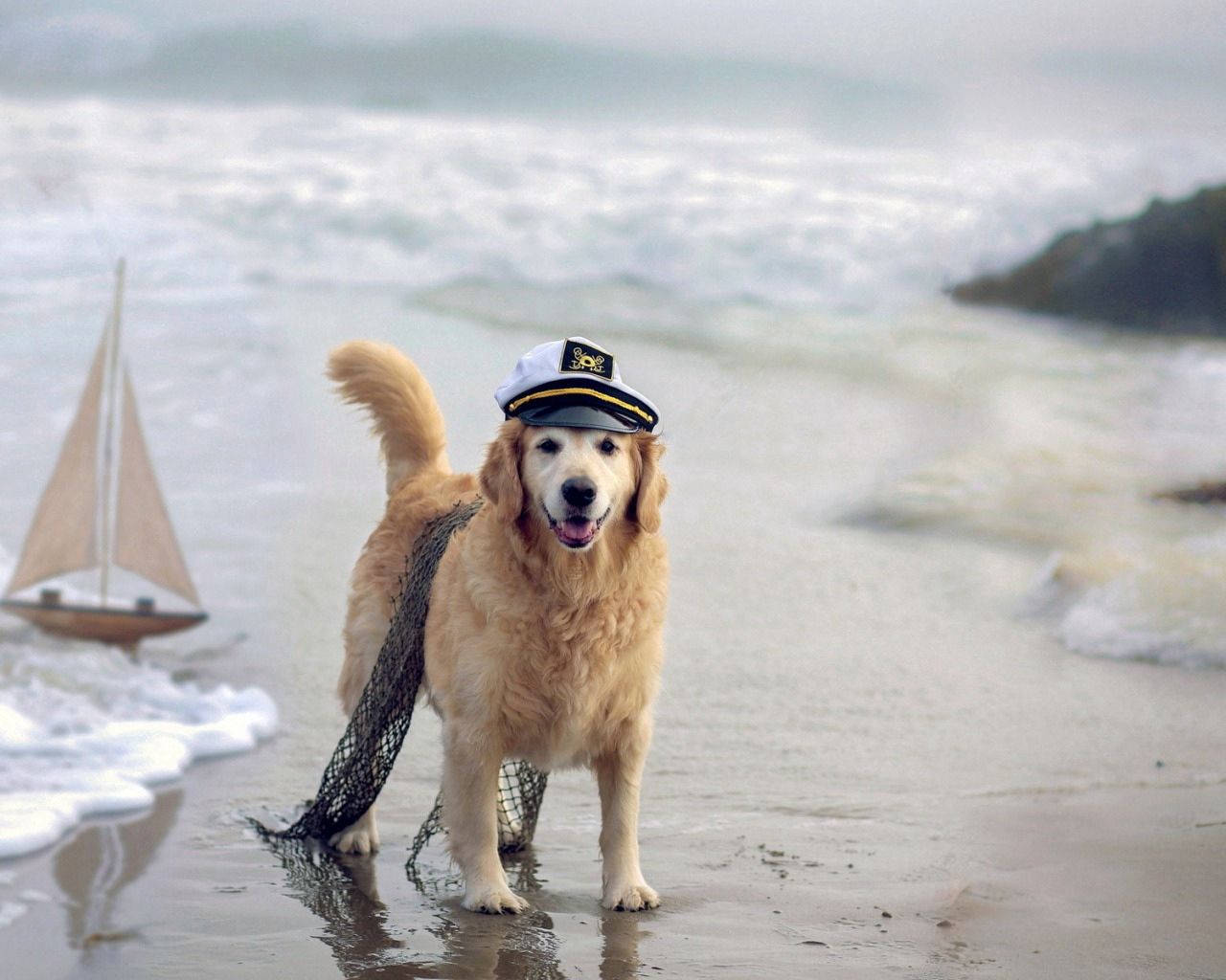 Download mobile wallpaper Dog, Cap, Sea, Net, Animals, Ship for free.