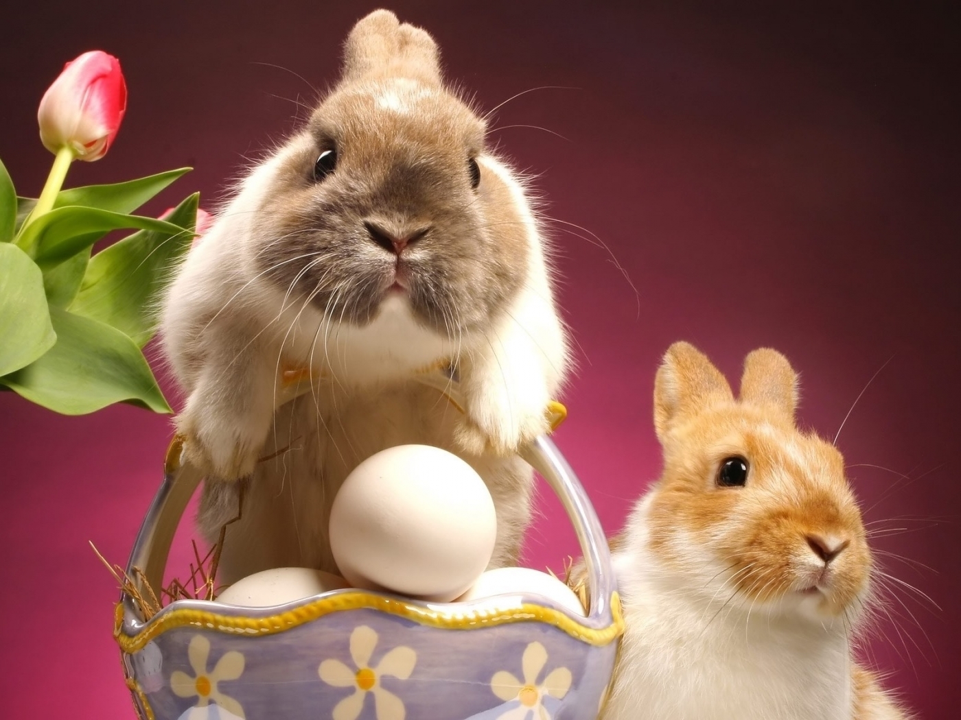 Free download wallpaper Animals, Rabbits, Holidays, Easter on your PC desktop
