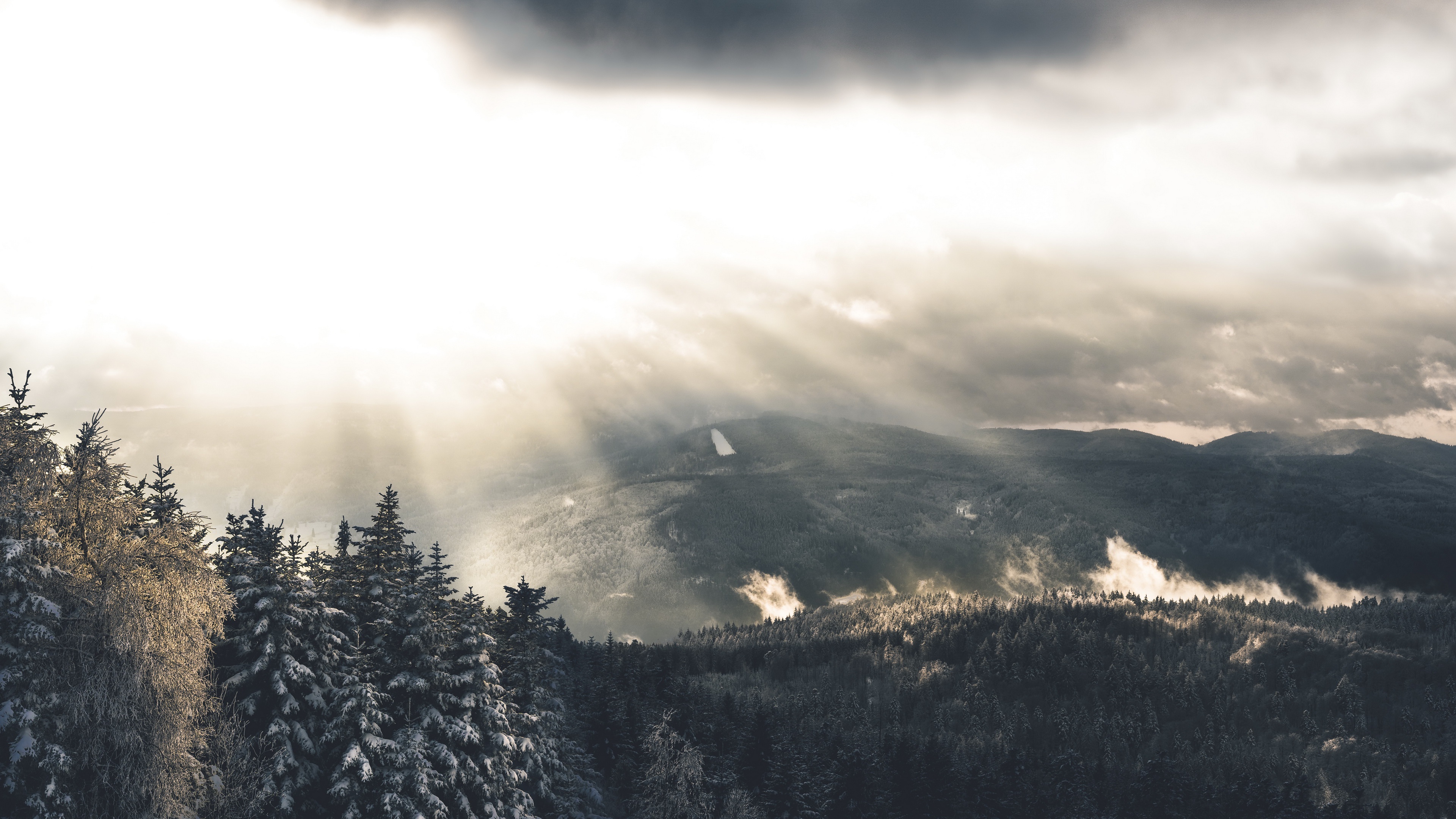 Descarga gratuita de fondo de pantalla para móvil de Paisaje, Bosque, Rayo De Sol, Tierra/naturaleza.