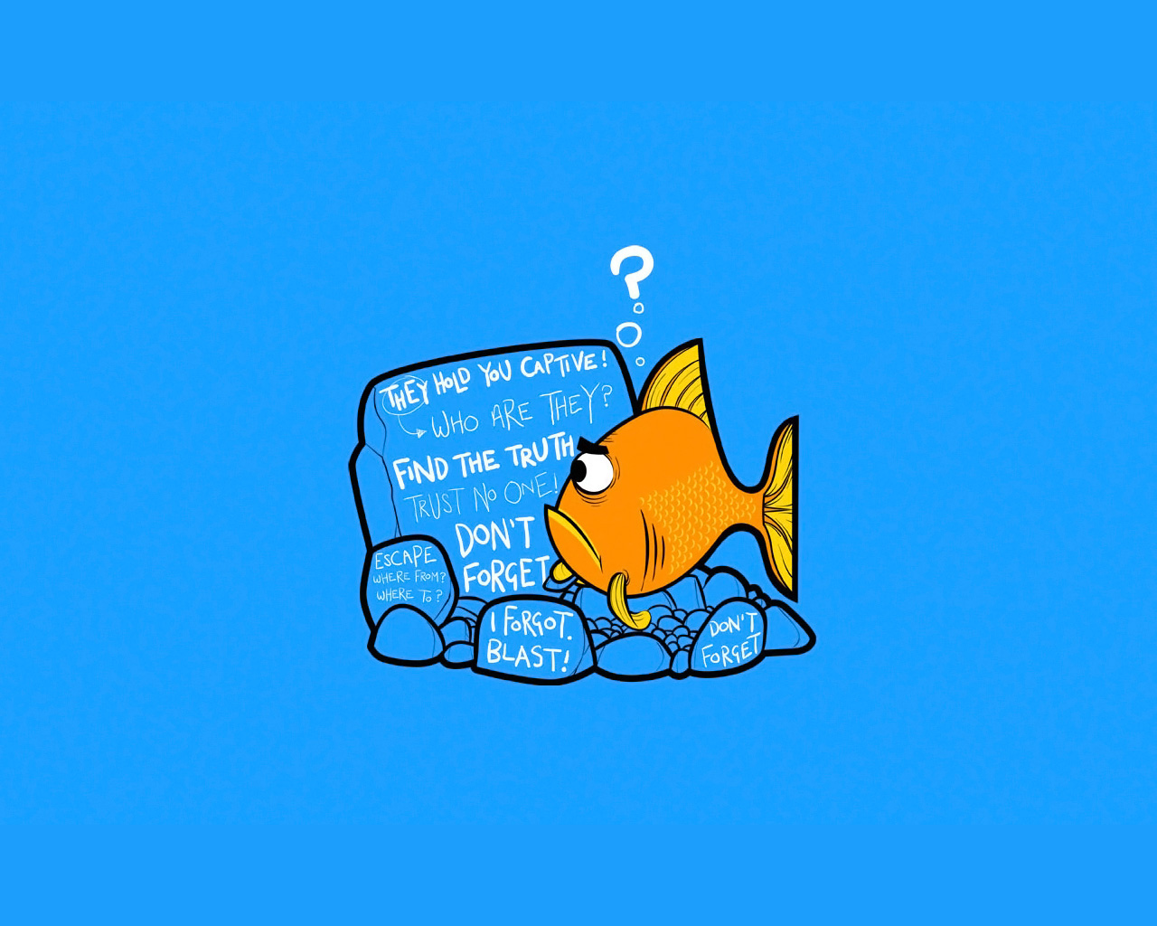 Download mobile wallpaper Funny, Animal, Fish, Humor for free.
