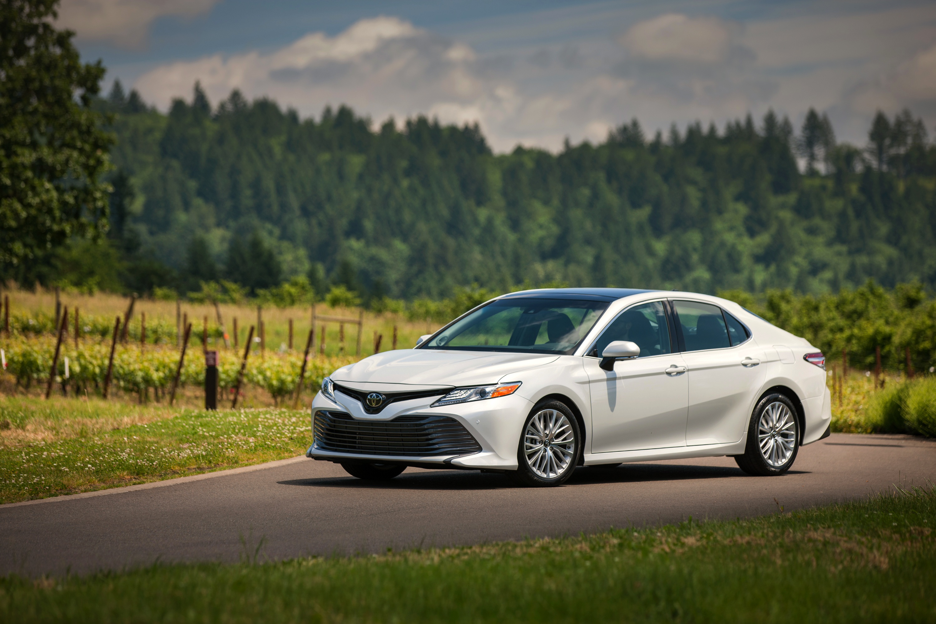 toyota camry, vehicles, car, compact car, toyota, white car
