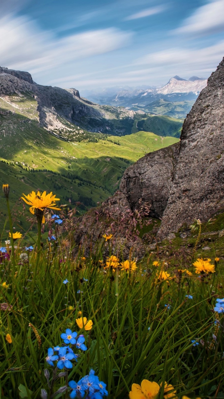 Handy-Wallpaper Landschaft, Blumen, Berg, Blume, Wald, Erde, Gebirge, Erde/natur kostenlos herunterladen.