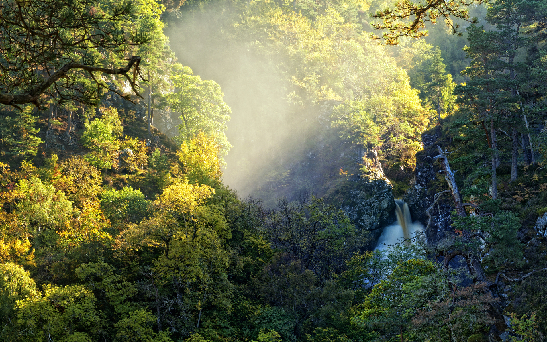 Handy-Wallpaper Wasserfall, Wasserfälle, Wald, Baum, Erde/natur kostenlos herunterladen.
