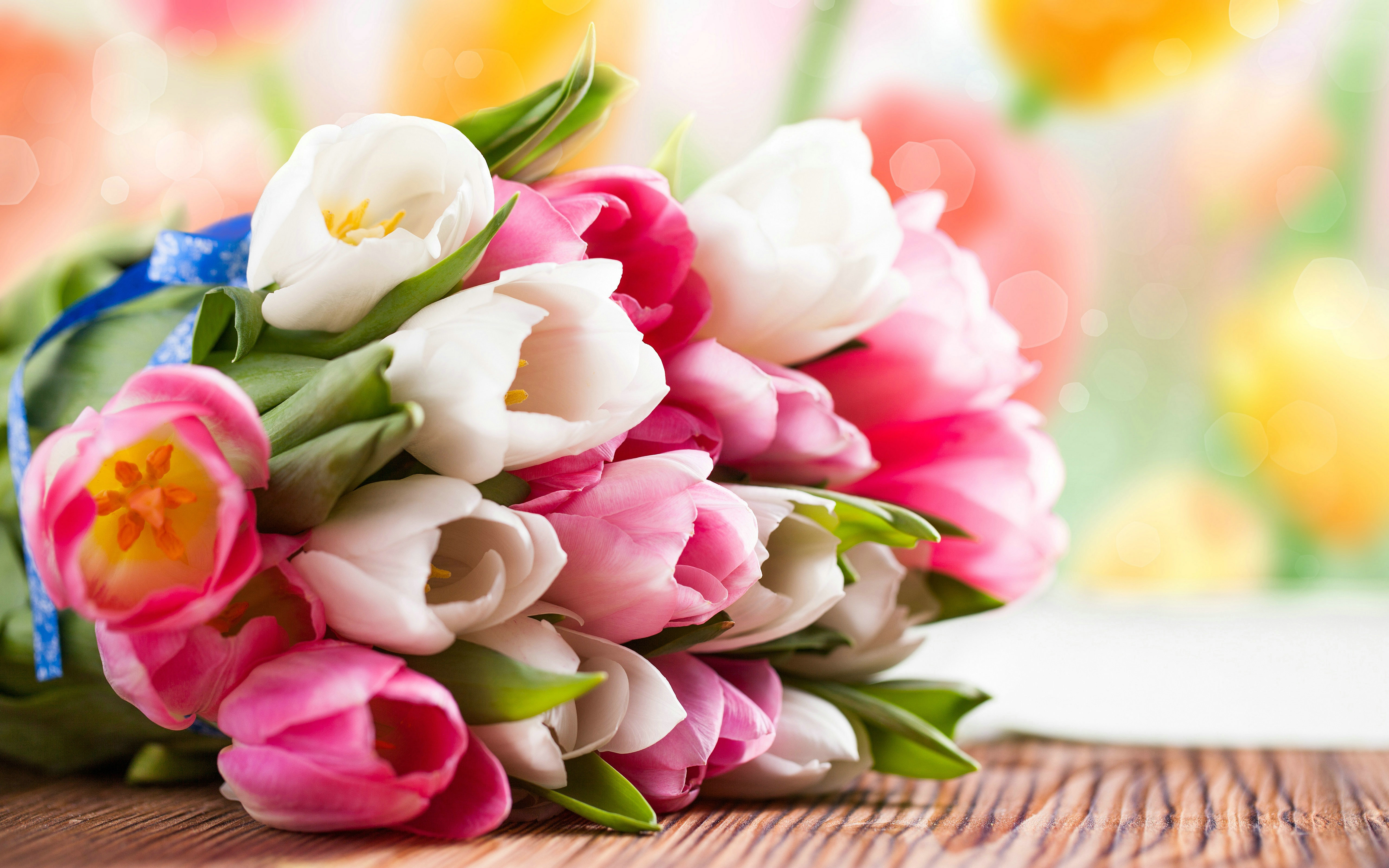 Handy-Wallpaper Blumen, Blume, Strauß, Nahansicht, Tulpe, Weiße Blume, Erde/natur, Pinke Blume kostenlos herunterladen.