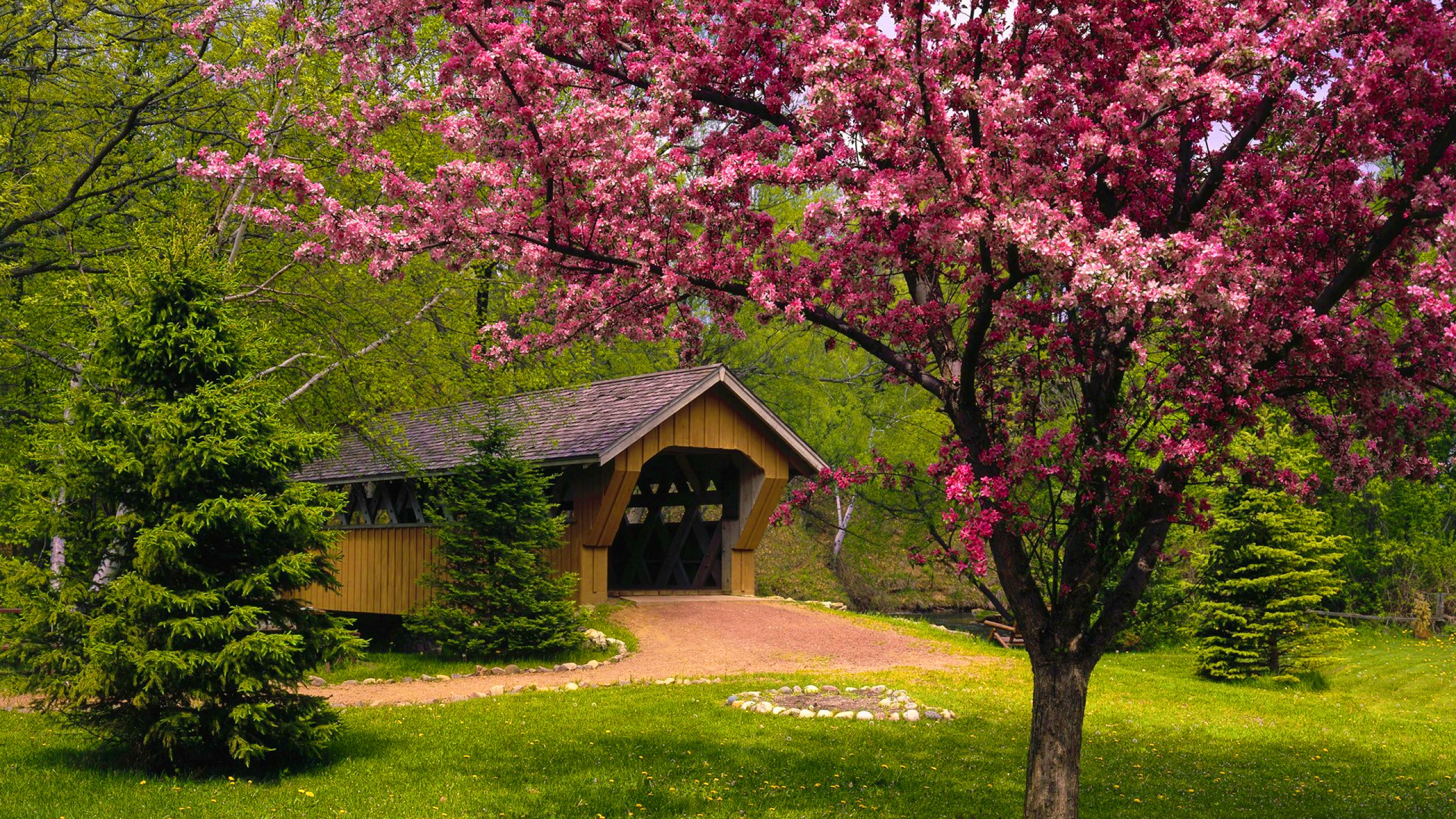 396516 скачать обои весна, сделано человеком, крытый мост, цветущие, мост, розовый цветок, дерево, мосты - заставки и картинки бесплатно