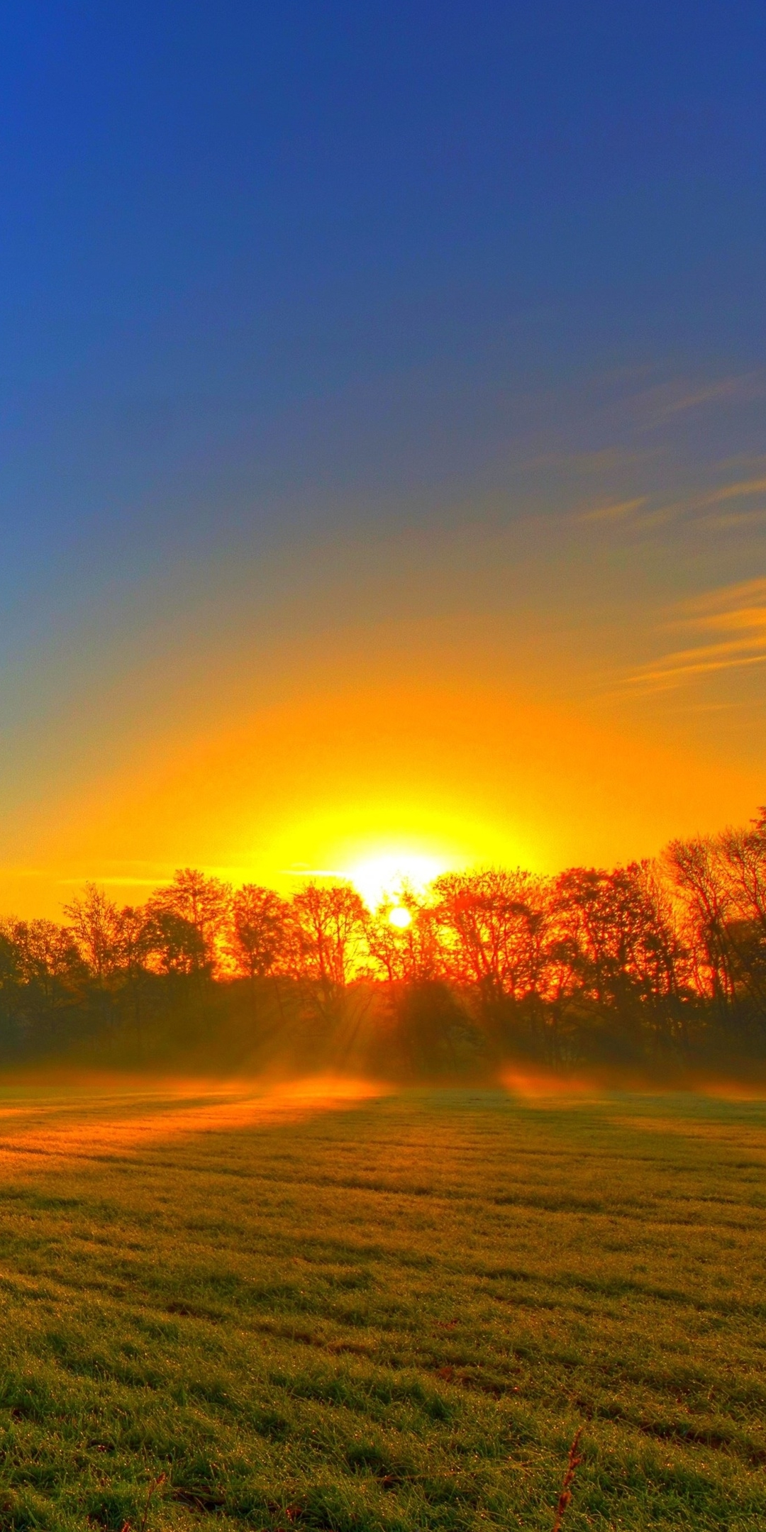 Descarga gratuita de fondo de pantalla para móvil de Cielo, Otoño, Campo, Atardecer, Tierra/naturaleza.