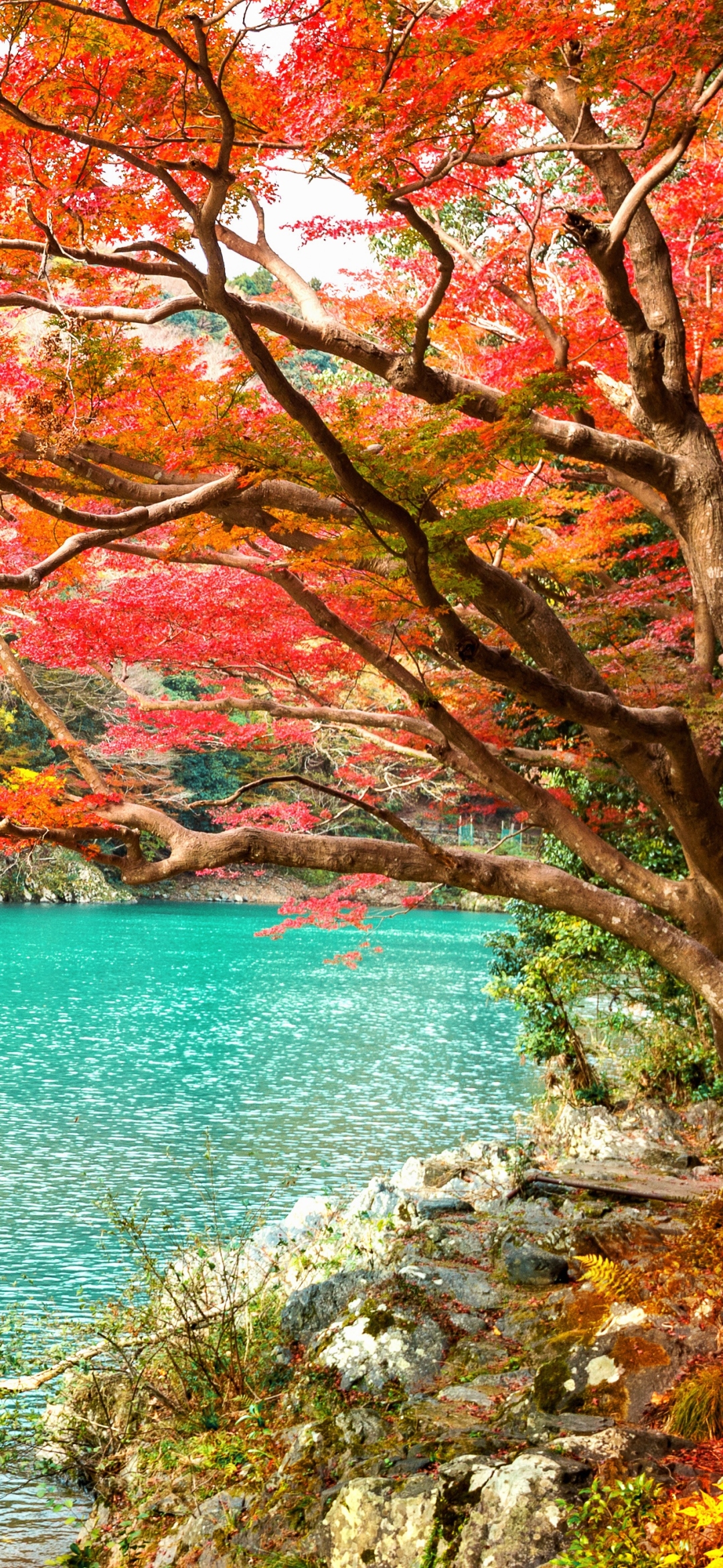 Handy-Wallpaper Natur, Herbst, Japan, Erde/natur, Kyōto, Arashiyama kostenlos herunterladen.