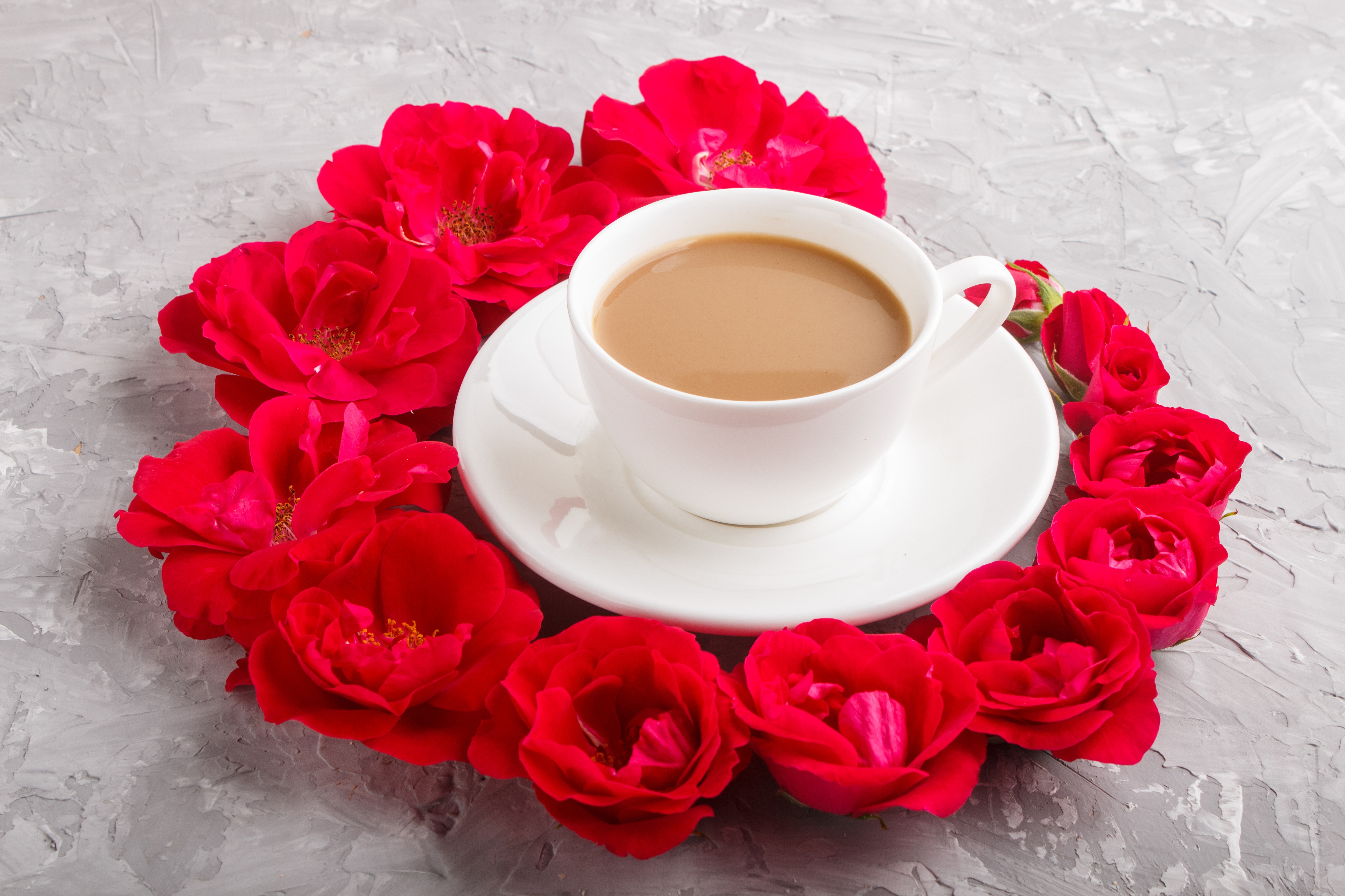 Free download wallpaper Food, Coffee, Flower, Cup, Drink, Red Flower on your PC desktop