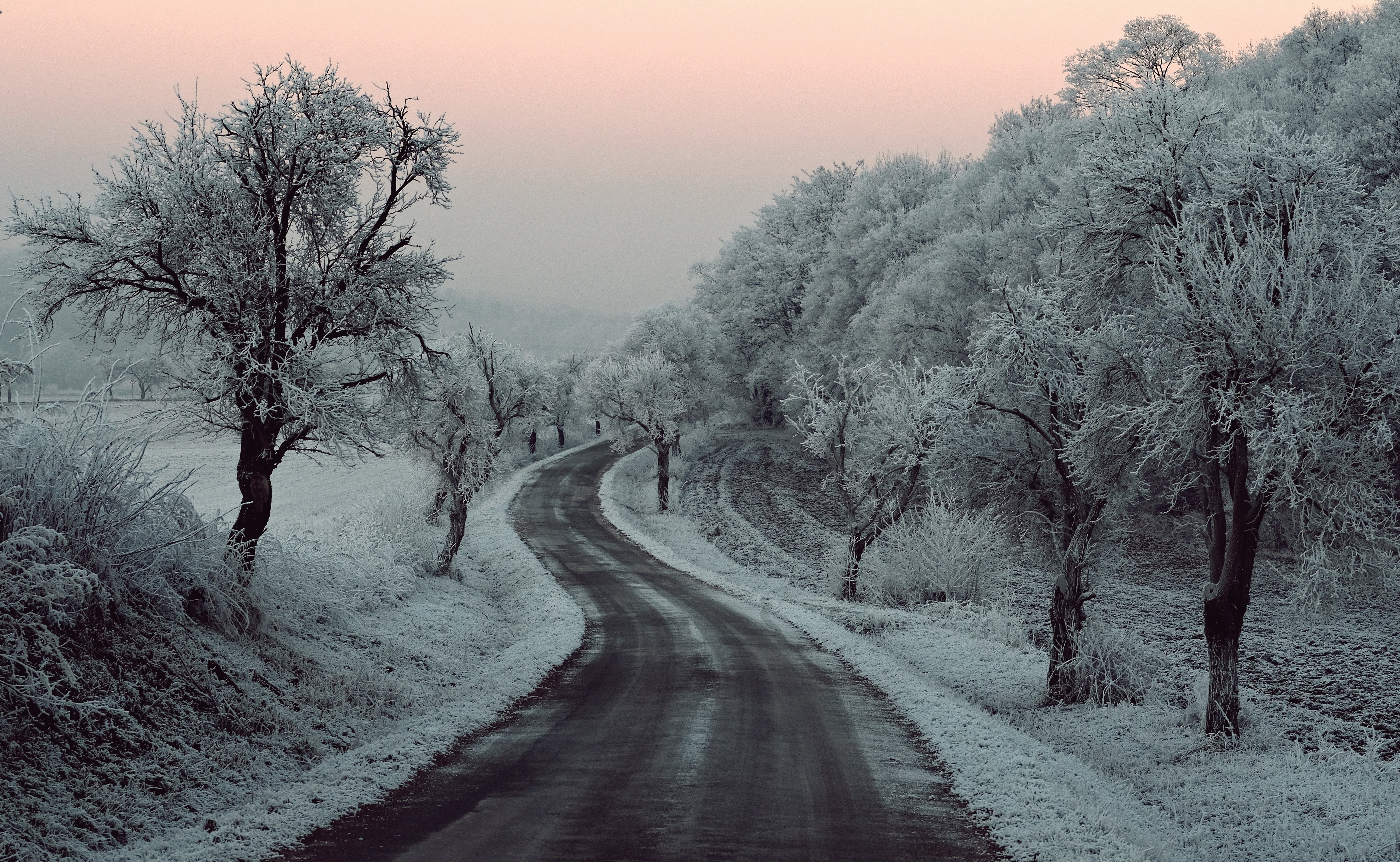Laden Sie das Winter, Schnee, Straße, Wald, Baum, Menschengemacht-Bild kostenlos auf Ihren PC-Desktop herunter