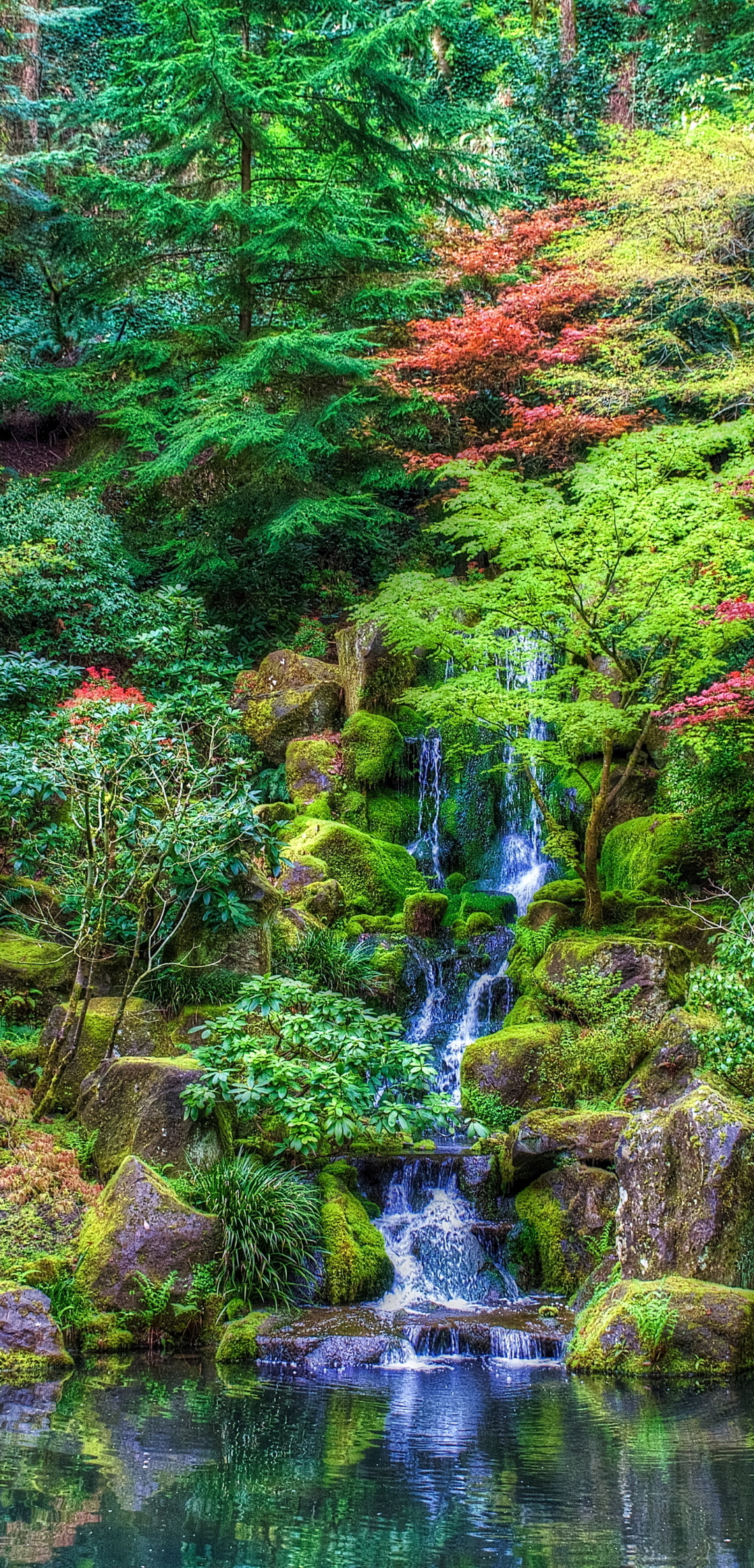 Handy-Wallpaper Blume, Wasserfall, Schweiz, Hdr, Fotografie kostenlos herunterladen.