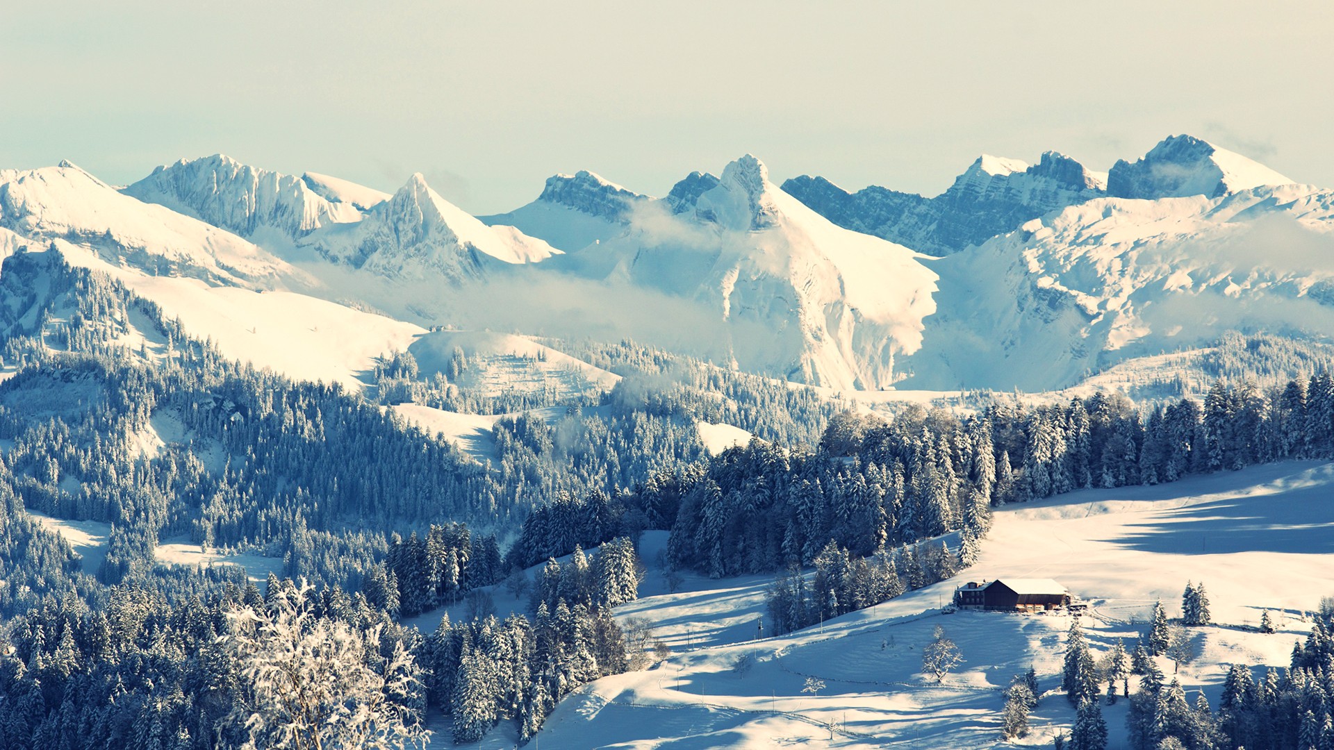 Baixe gratuitamente a imagem Inverno, Neve, Montanha, Floresta, Árvore, Terra/natureza na área de trabalho do seu PC