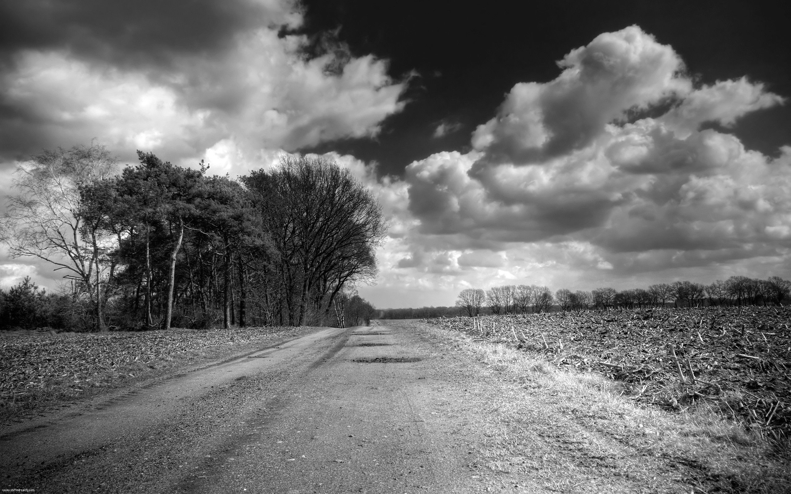 nature, trees, clouds, road, volumetric, black and white, country, voluminous, countryside