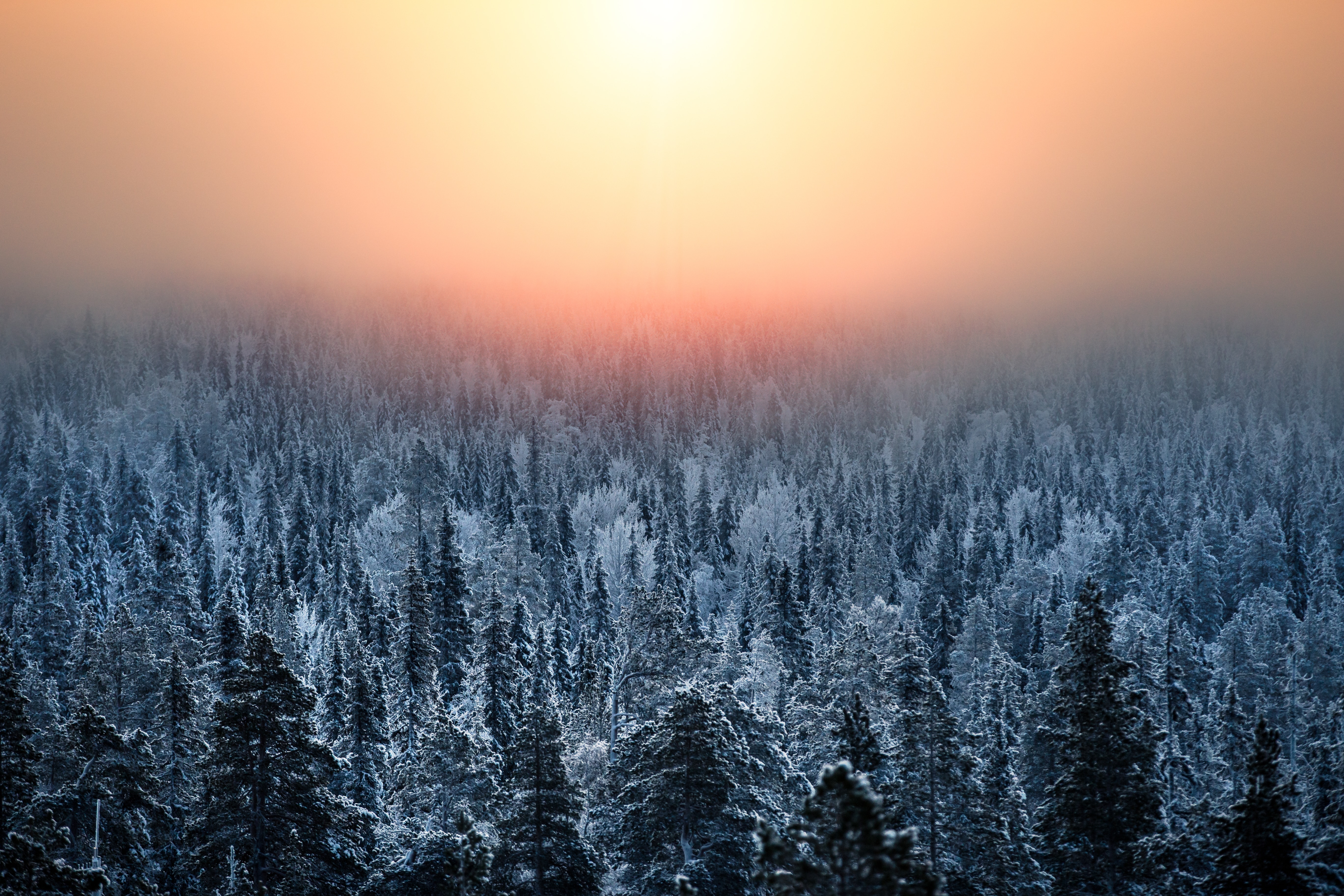 Скачать картинку Природа, Мгла, Снег, Закат, Пейзаж, Зима, Лес в телефон бесплатно.