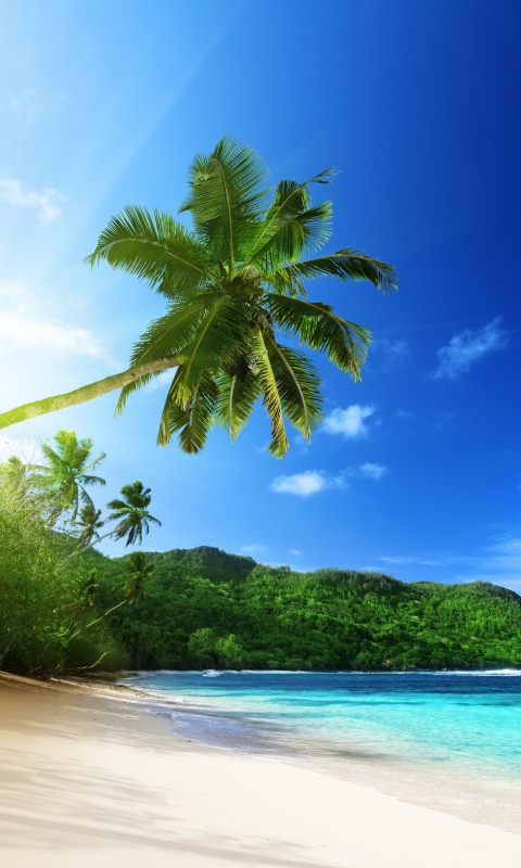 Download mobile wallpaper Beach, Earth for free.