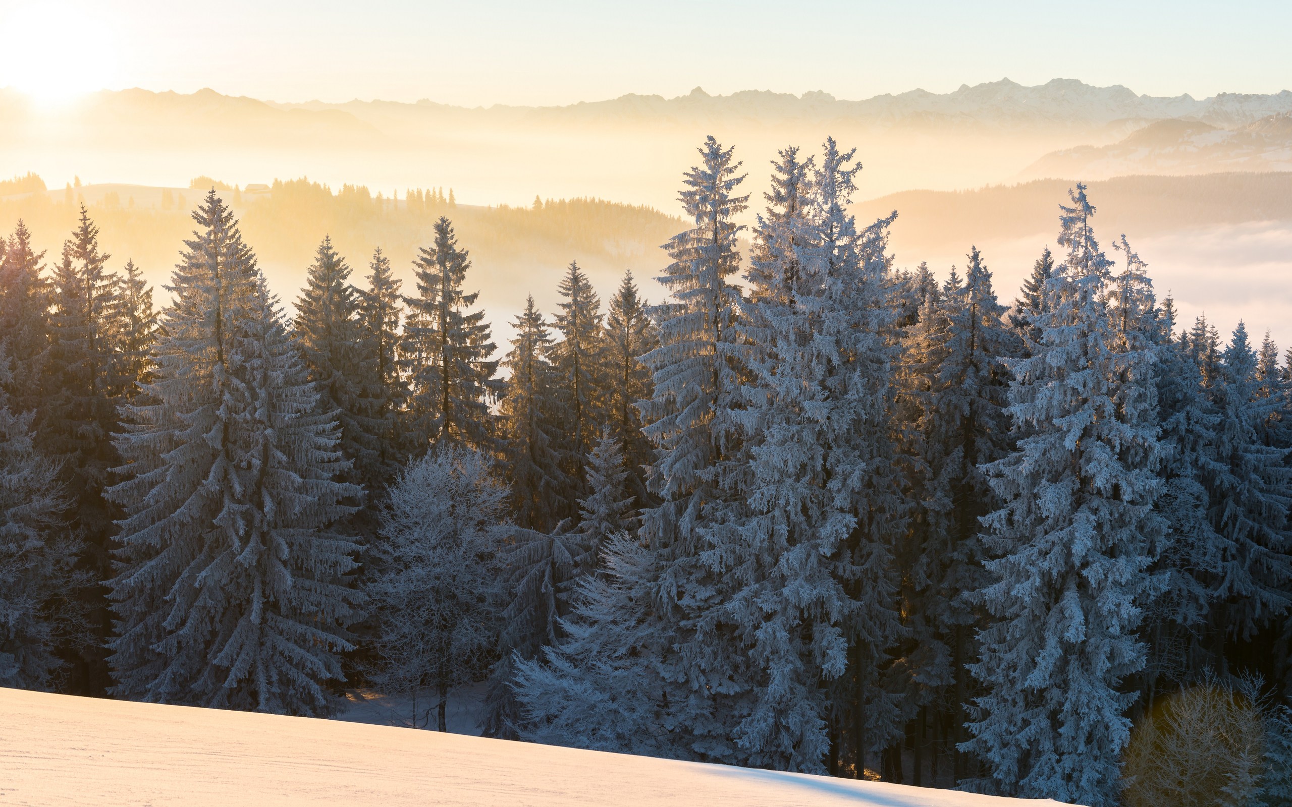 Téléchargez gratuitement l'image Hiver, Terre/nature sur le bureau de votre PC