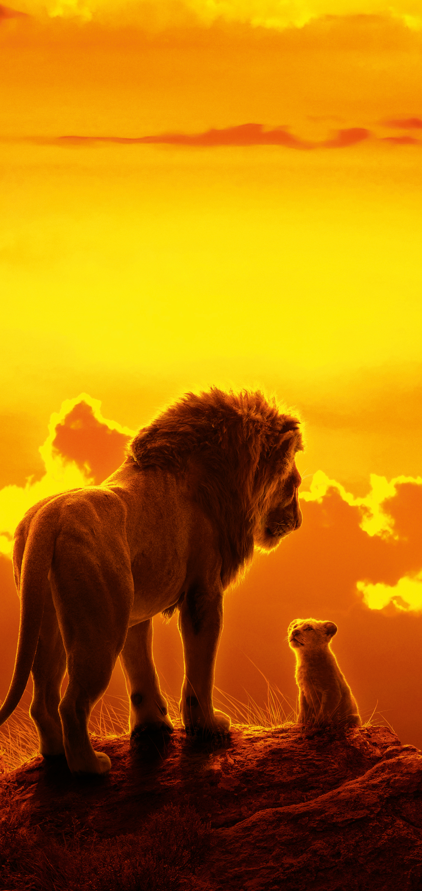 Descarga gratuita de fondo de pantalla para móvil de León, Películas, Bebe Animal, Simba, El Rey León (2019).