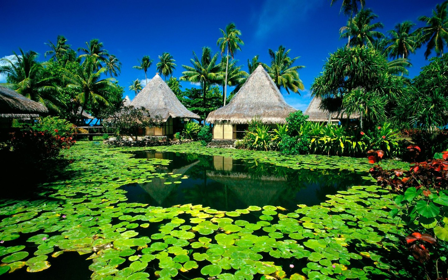 Download mobile wallpaper Lake, Tree, Pond, Tropical, Hut, Photography for free.