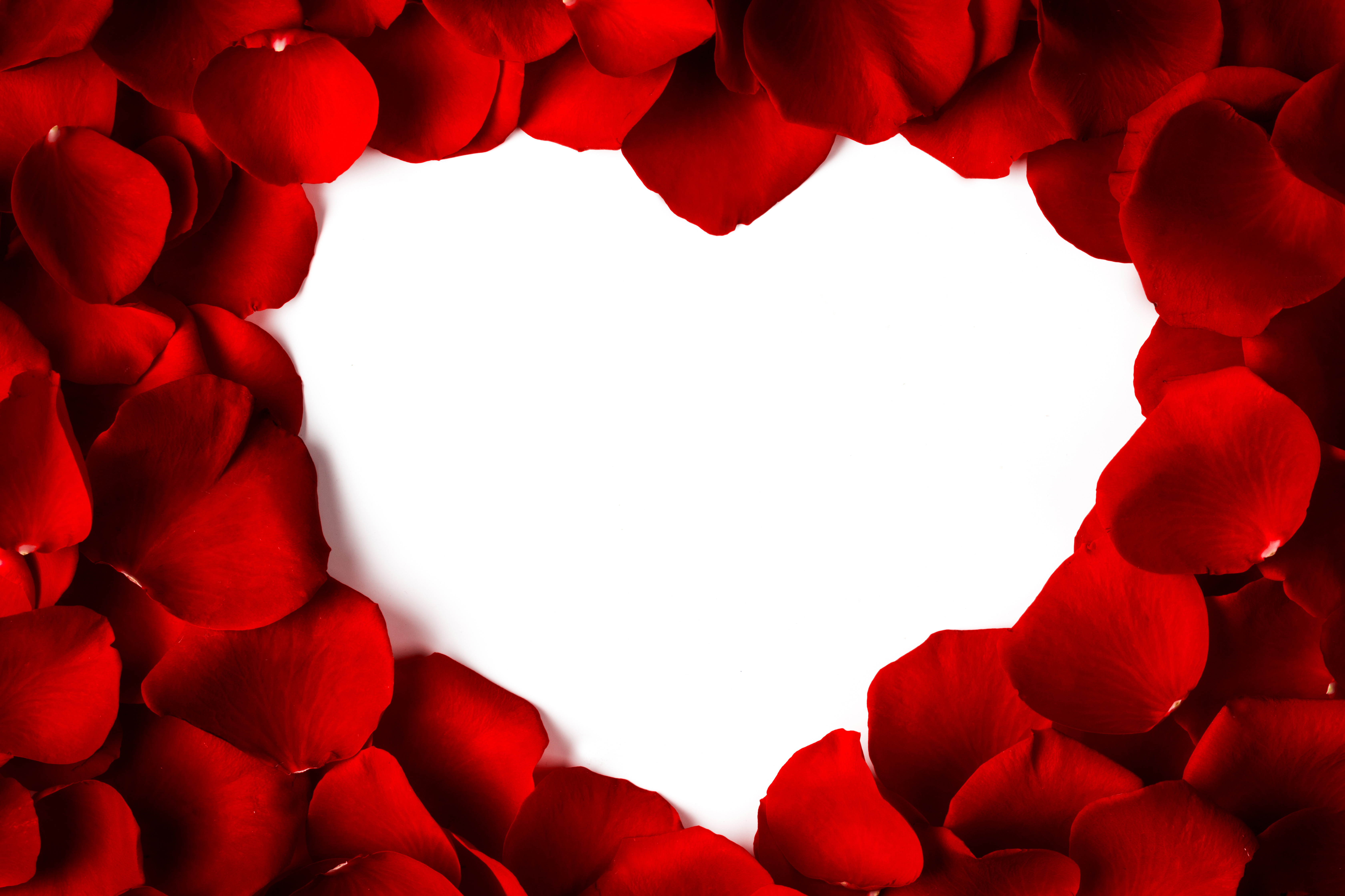 Download mobile wallpaper Love, Petal, Photography, Romantic, Heart Shaped for free.