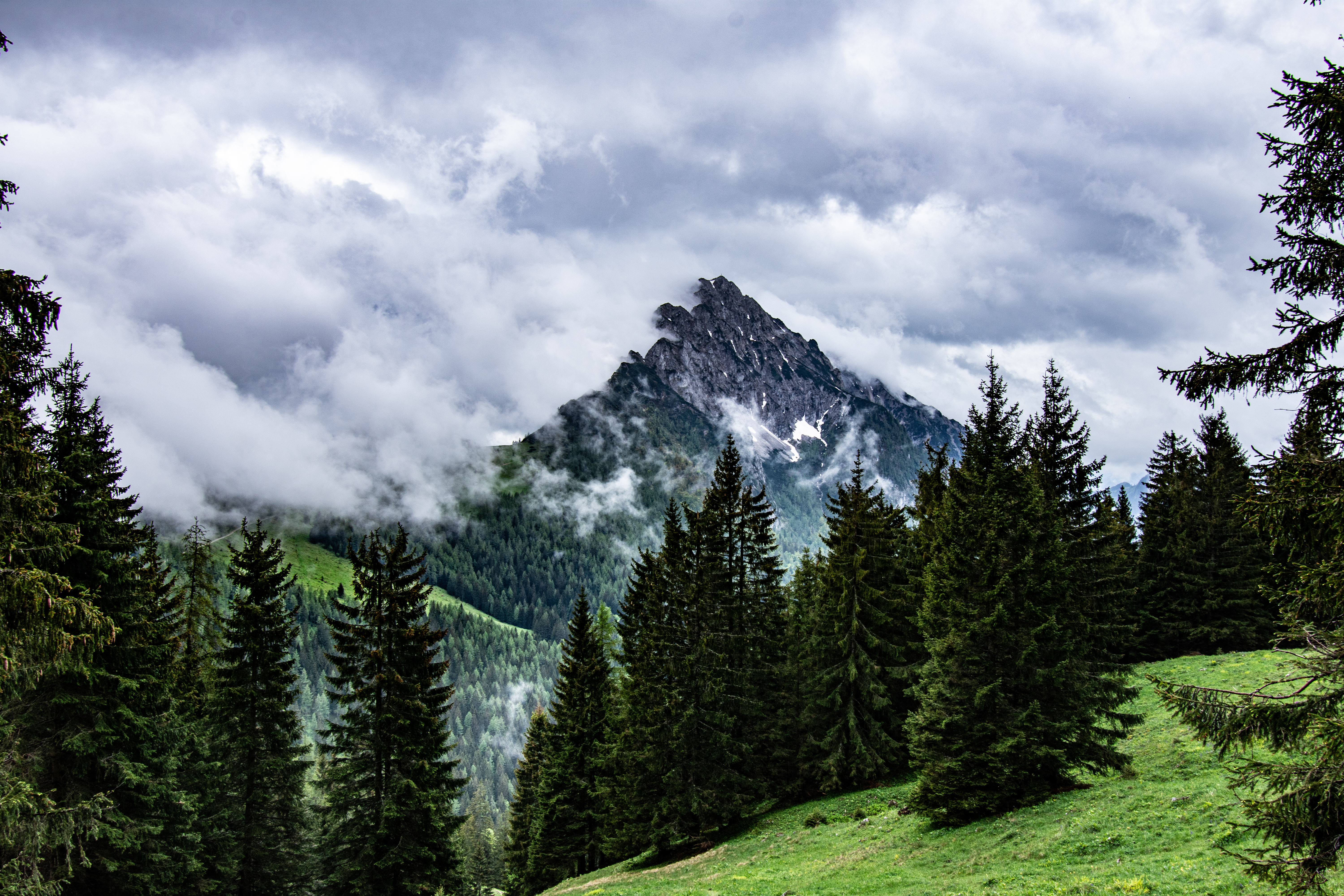 Free download wallpaper Trees, Mountains, Rocks, Spruce, Fir, Nature, Clouds, Fog on your PC desktop