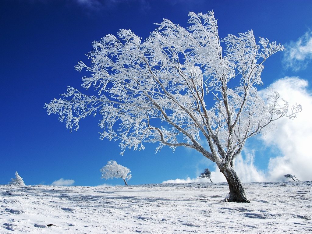 1517794 descargar imagen invierno, tierra/naturaleza: fondos de pantalla y protectores de pantalla gratis