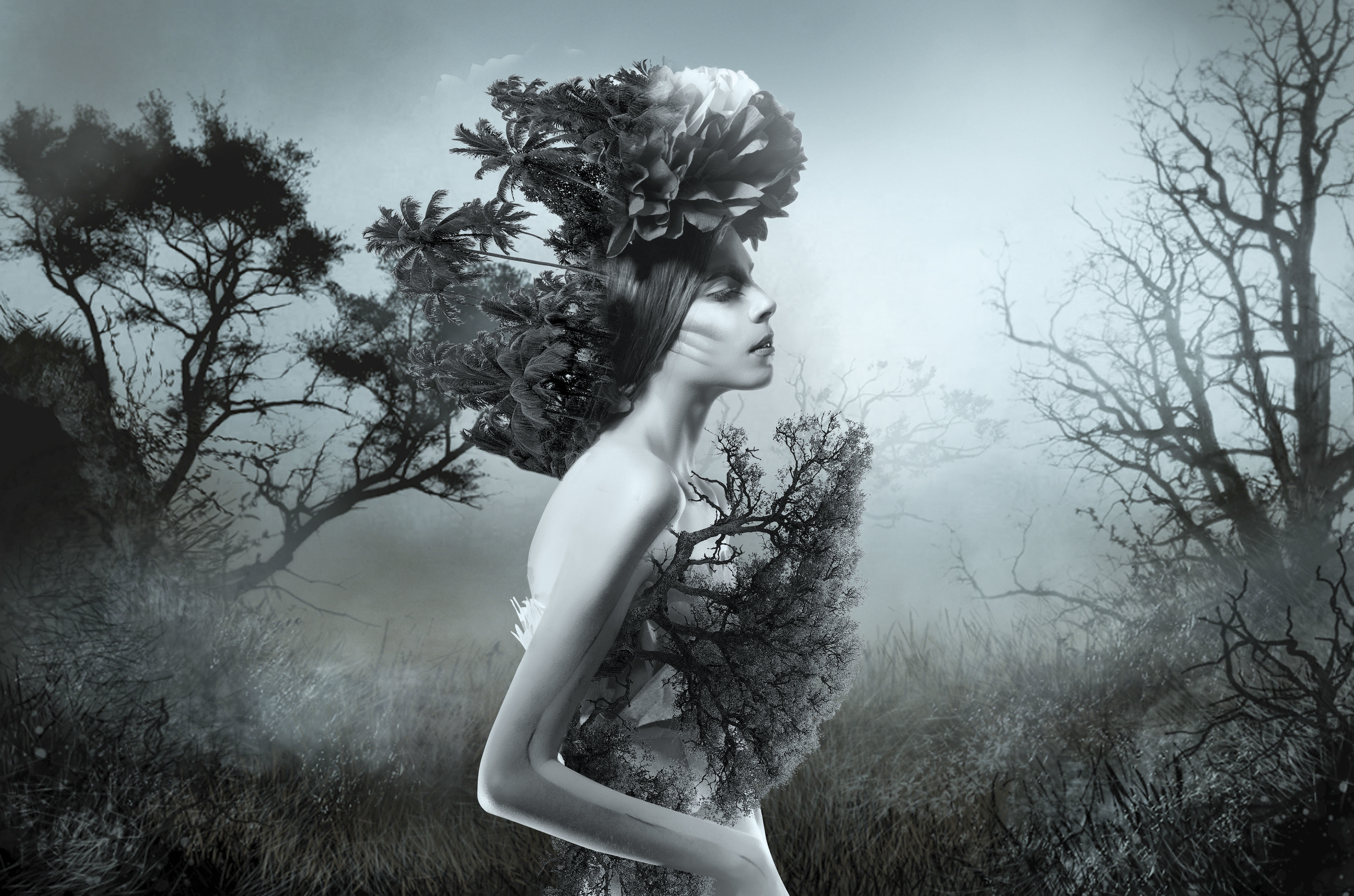 Free download wallpaper Nature, Artistic, Women, Black & White on your PC desktop