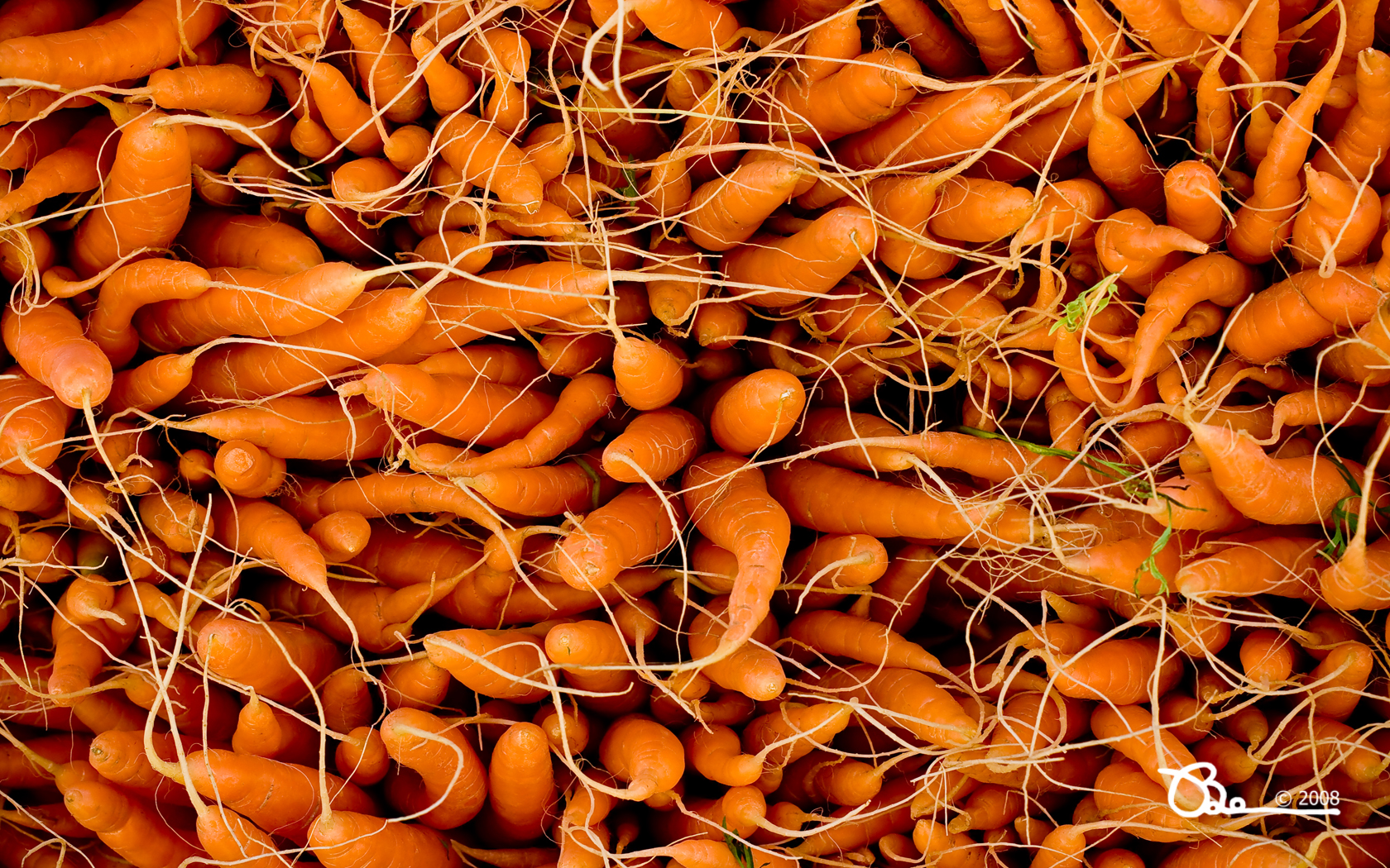 608171 завантажити шпалери морква, харчування - заставки і картинки безкоштовно